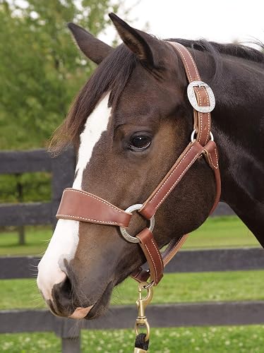 Weaver Leather Stacy Westfall Bronc Halter