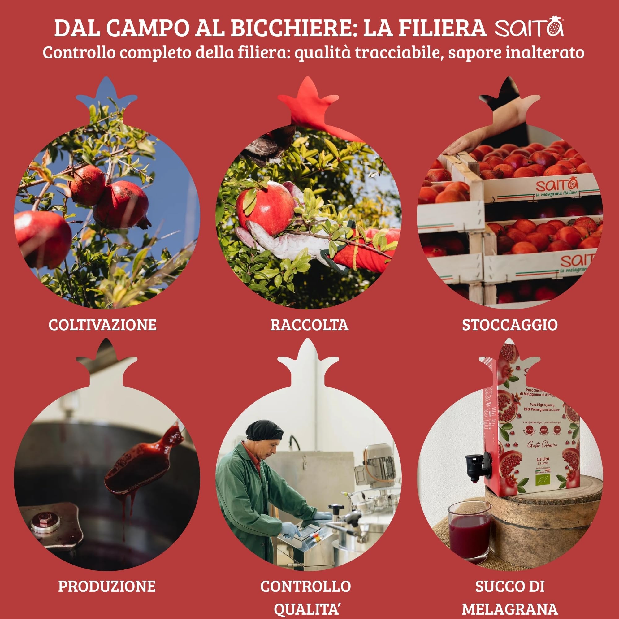 Saita Succo di Melograno 100% Puro Biologico, Succo di Frutta Senza Zuccheri Aggiunti, Vitamina C Naturale, Vegan Superfood Detox, Bag in Box 3 l, Classico, Made in Italy