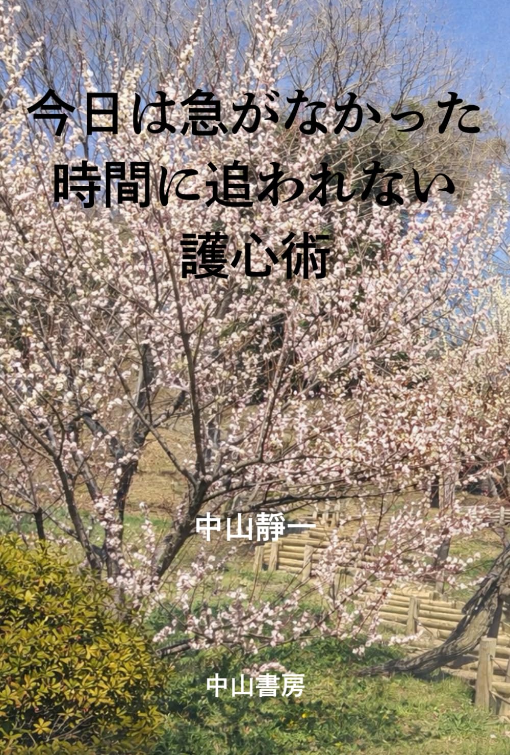 今日は急がなかった: 時間に追われない護心術