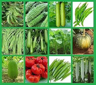 Home Kit For Vegitable Garden, 12 Varieties of Survival Essential Vegitble Seed Kit