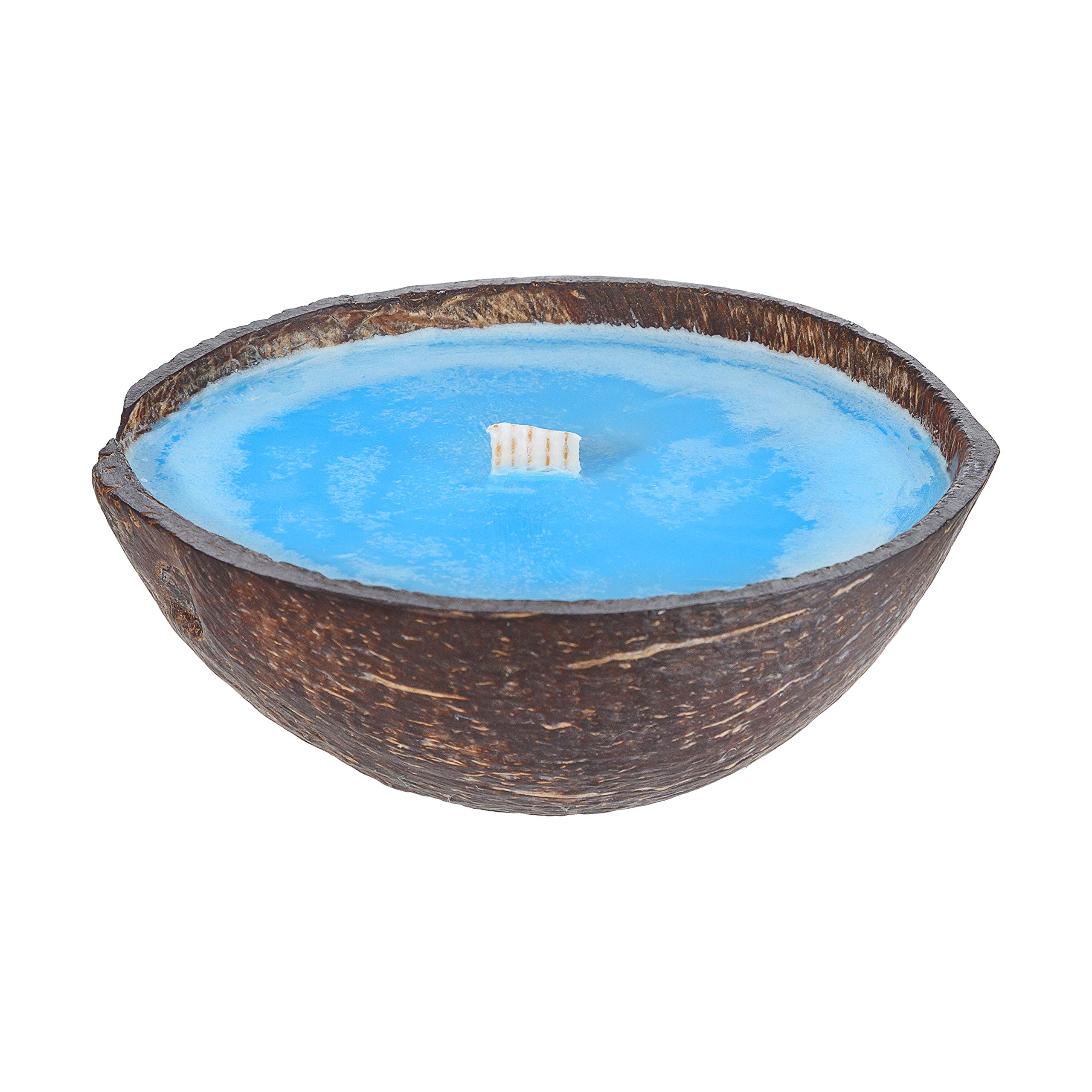 Scented Candle in Coconut Shell – Blueberry Cheesecake | Soy & Coconut Wax | Handmade in Real Coconut | Half Shell, 8.5oz