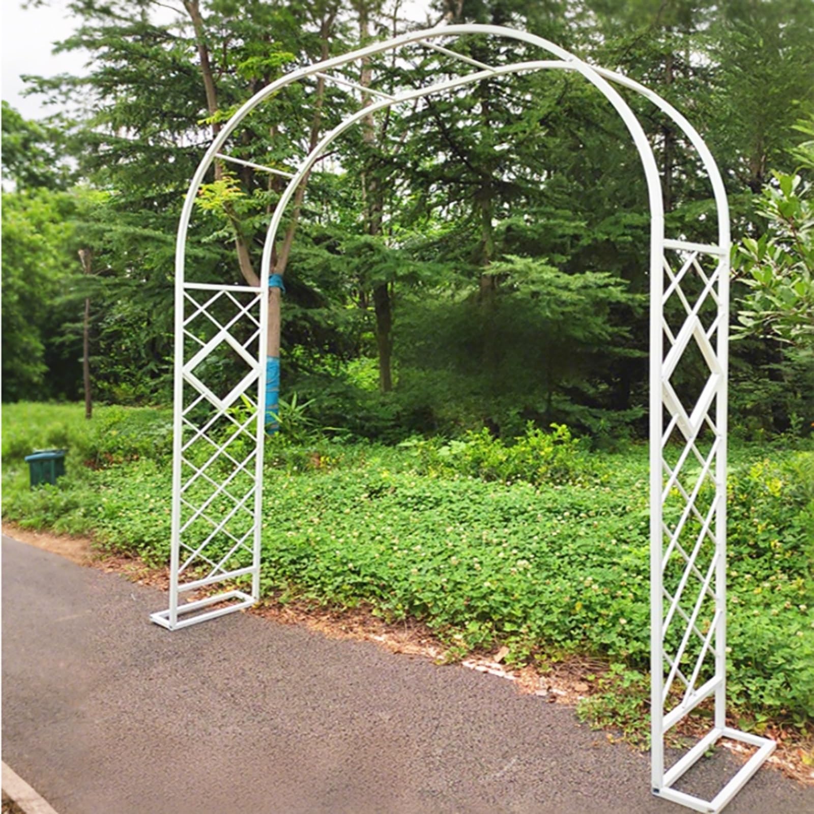 Arche métallique robuste anti-vent pour tuteurer de grands rosiers