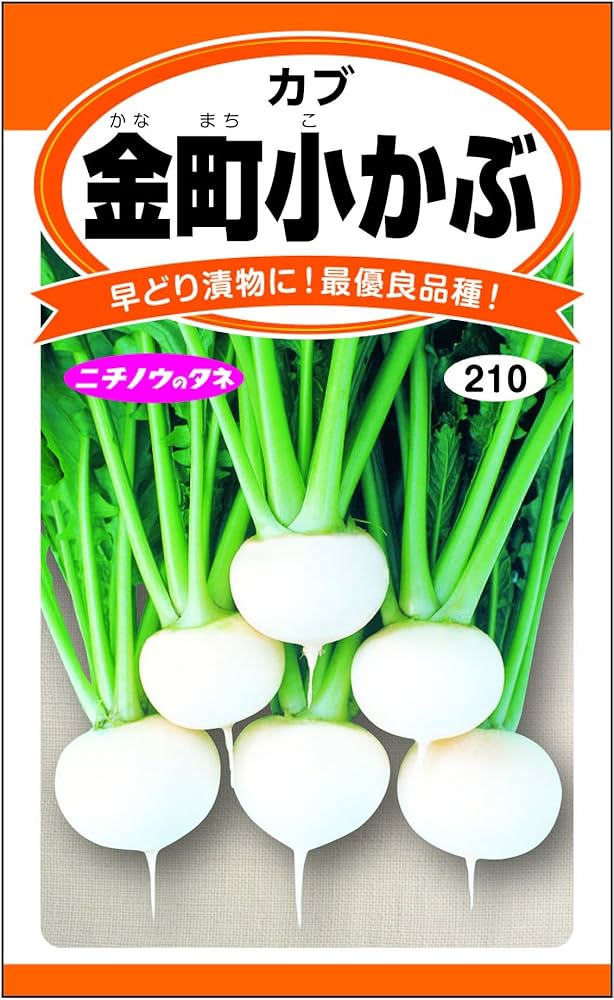 Amazon.co.jp: 901095 Japanese Agricultural Seedling Seeds