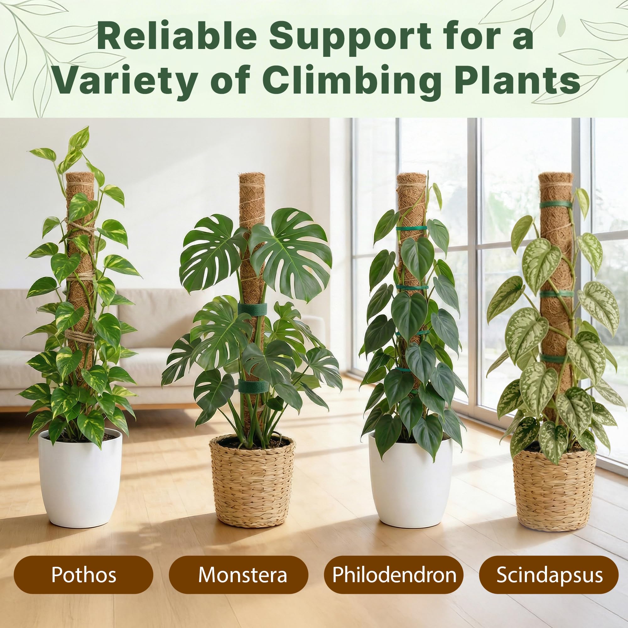 Paquete de 4 soportes para plantas Monstera de 16 pulgadas, apilables hasta 48 pulgadas, estacas para plantas trepadoras de interior en maceta, palos de coco altos y accesorios para Monstera, Pothos y