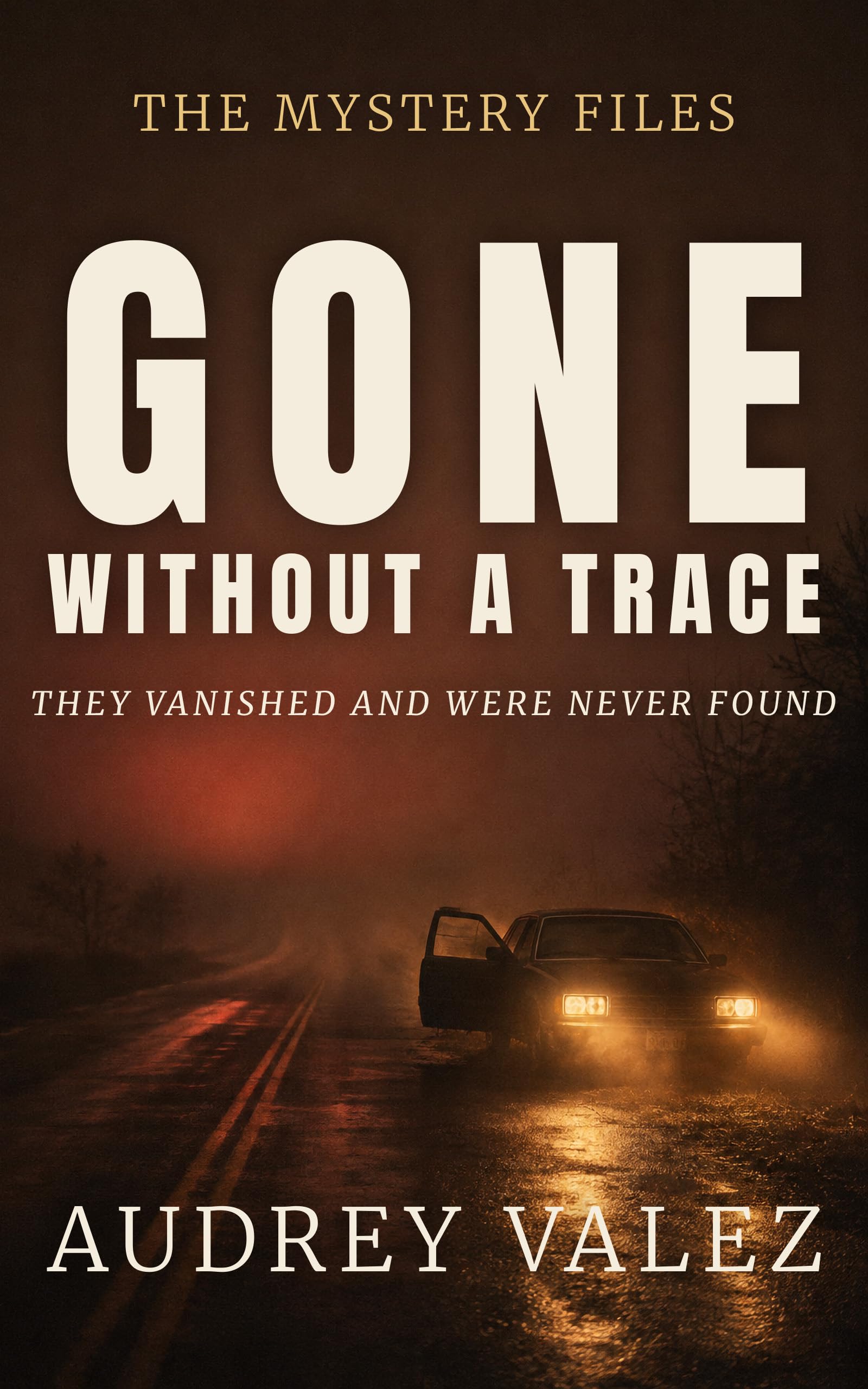 Gone Without A Trace (The Mystery Files Book 1)