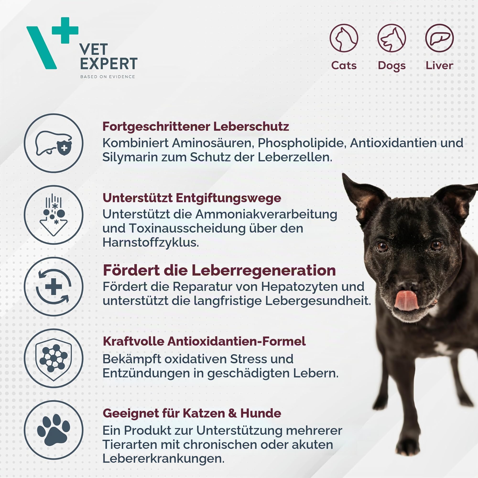 Vet Expert Hepatiale Forte Advanced Leber Supplement für Hunde und Katzen - 30 Tabletten