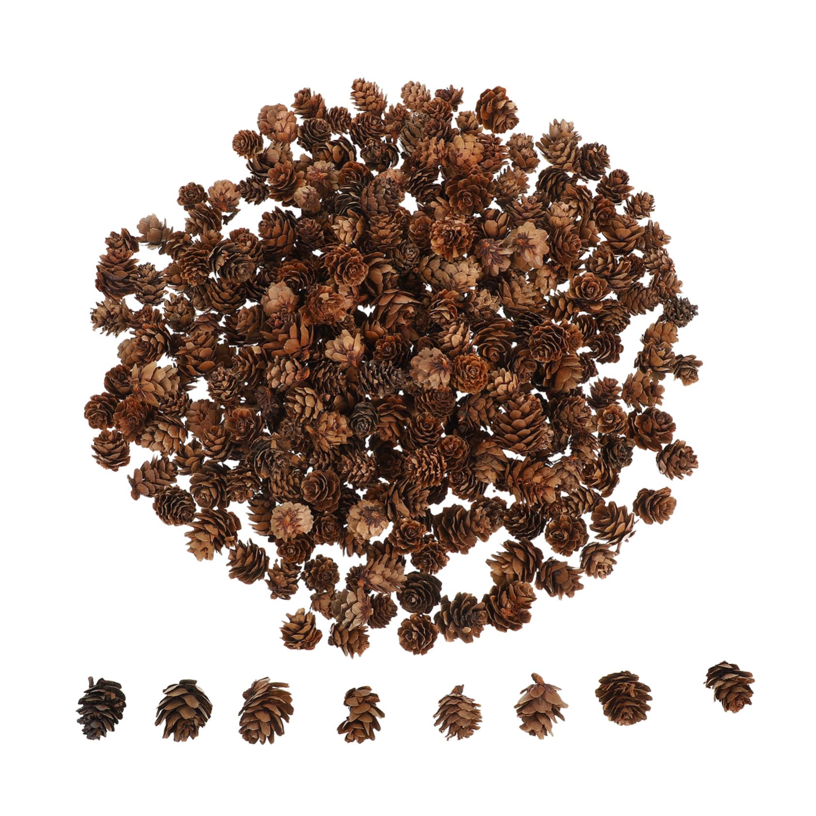 Kleiner Kiefernzapfen Ornamente Aus Naturholz 1-2cm Kleine Tannenzapfen Weihnachtsbaumschmuck Zum Aufhängen Rustikale Dekoration Für Weihnachts Und Selbstgemacht Projekte