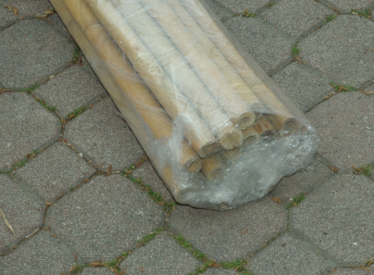 25 Canne Bamboo Bambù cm 240 x Ø mm 22-24