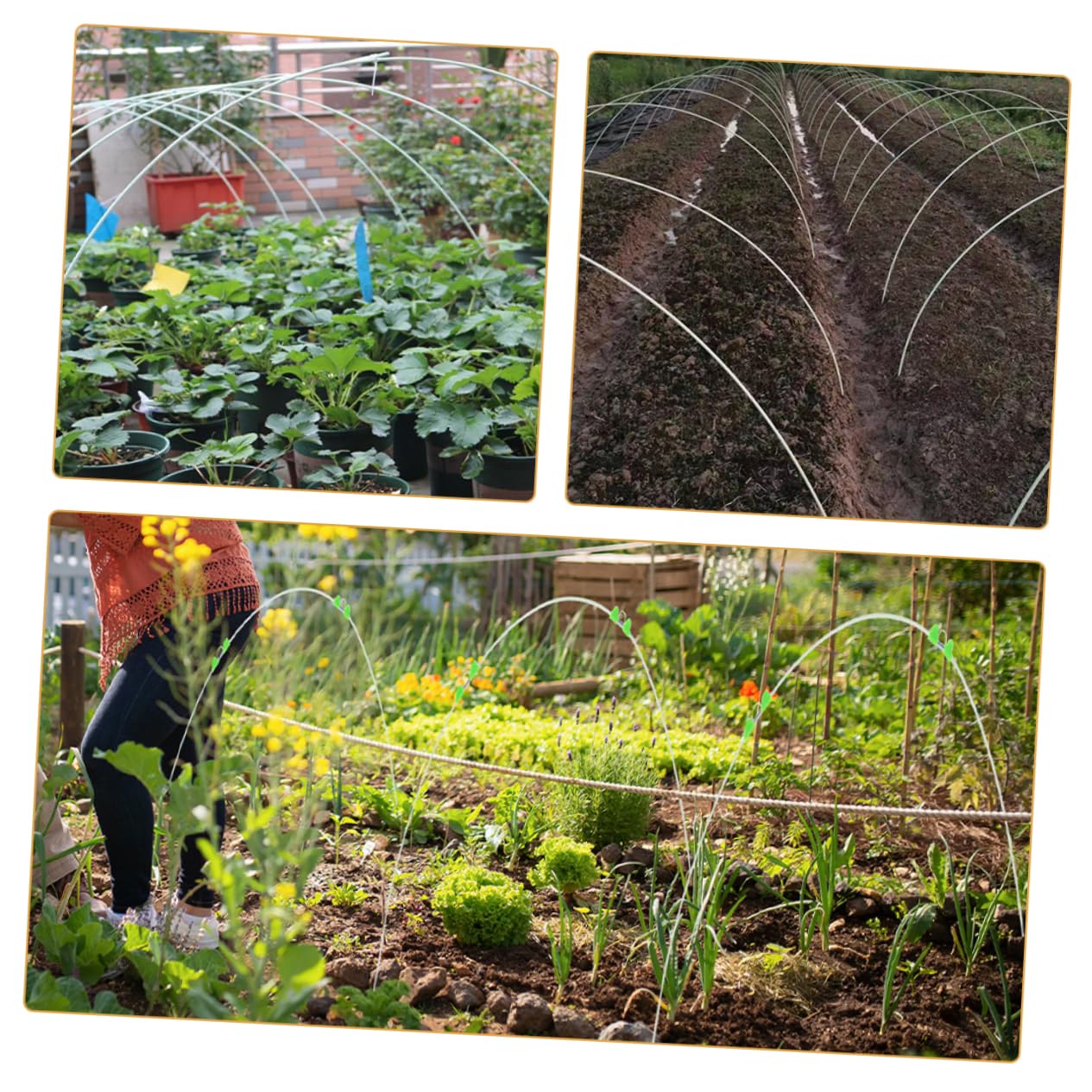 TOYANDONA Archi per Tunnel Orto in Polietilene e Fibra di Vetro | Flessibili, Pieghevoli e Riutilizzabili, Facili da Installare, Soluzione Leggera per Coperture da Giardino