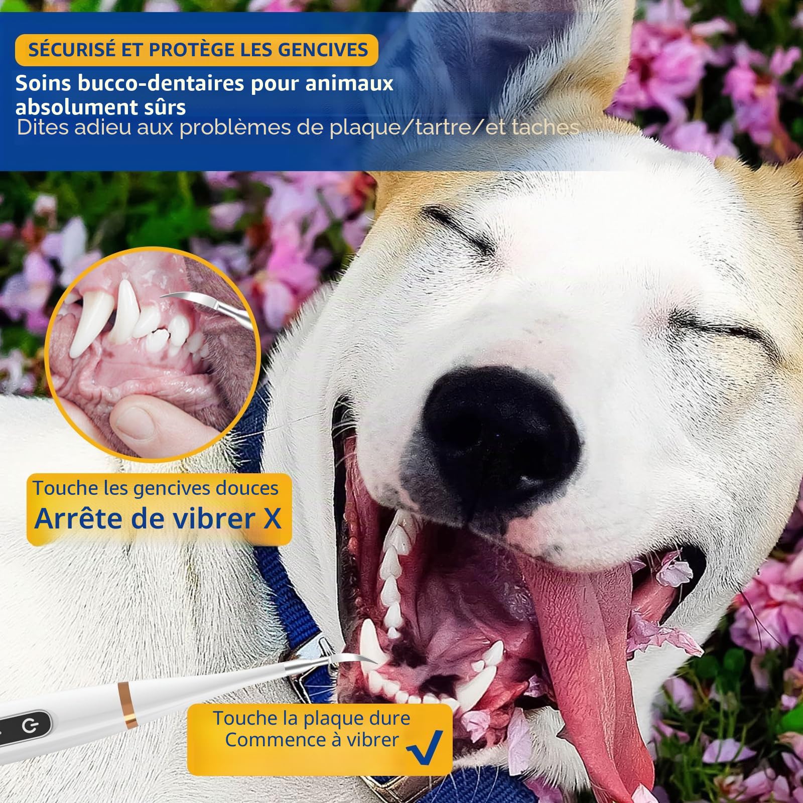 Kit de Nettoyage des Dents de Chien pour tartre et plaque dentaire, Brosses à Dents pour Chiens et Chats Tartre Dentaire Nettoyage, Kit Detartrage Dentaire Pour Nettoyer les Dents des Chiens et Chat