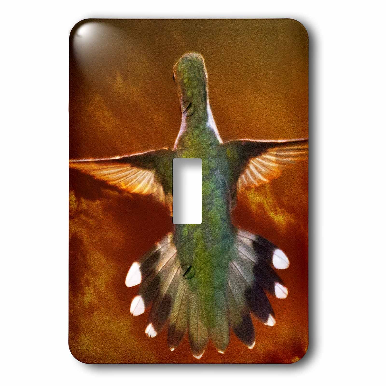 Interrupteur à baïonnette simple 3dRose lsp_53841_1 motif colibri oiseau