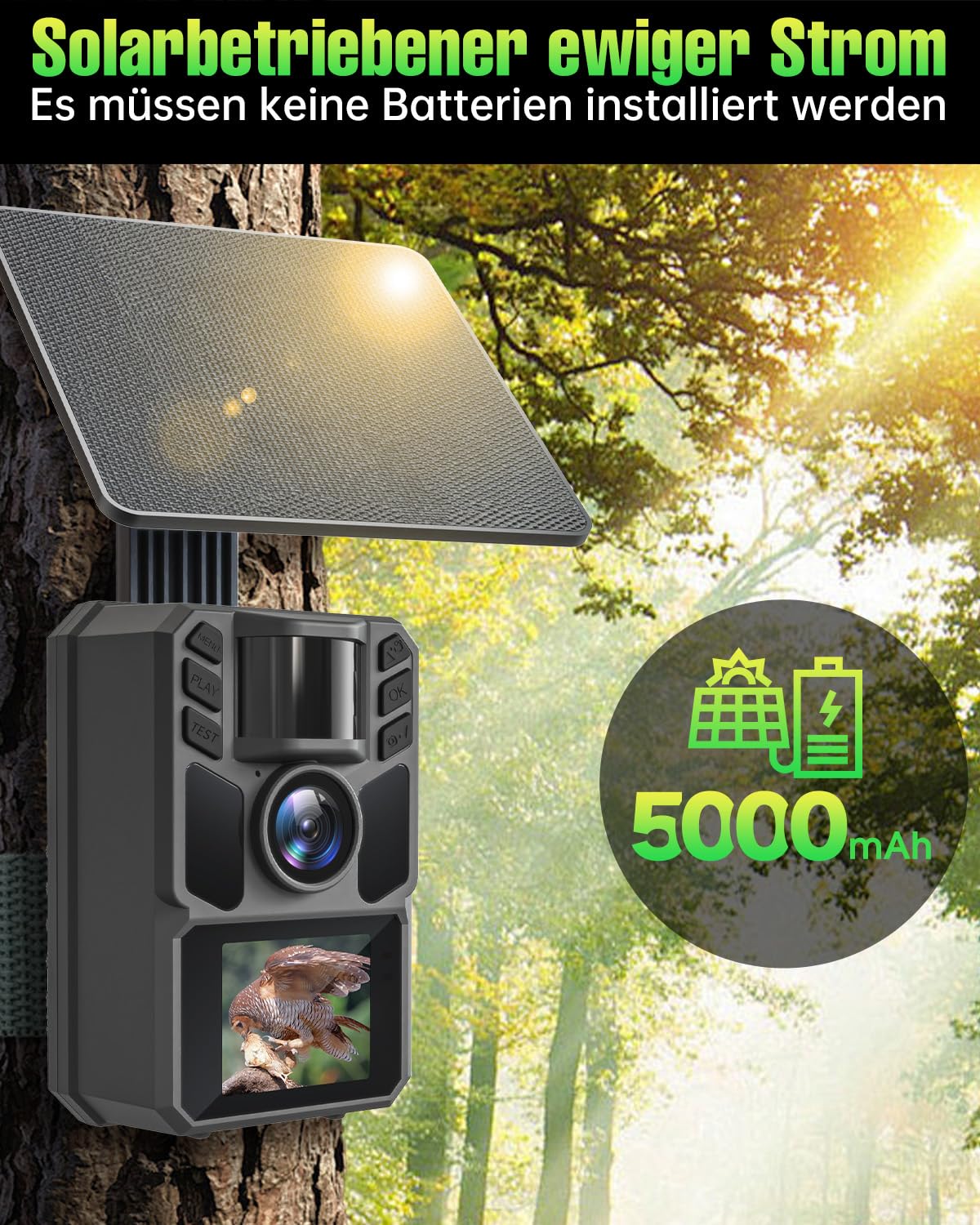 4K 64MP Wildkamera Solar, Eingebaute 5000mAh Lithium-Batterie, 0.2s Auslöser Bewegungsaktiviert, Wildtierkamera mit Nachtsicht, IP67 Wasserdicht, 120° Weitwinkel