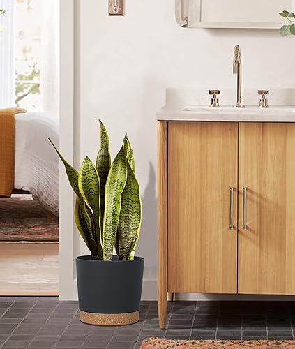 Miniatura 5 de kubvici Macetas para plantas de interior, paquete de 2 macetas de plástico de 8 pulgadas con platillo de drenaje para interiores y exteriores,