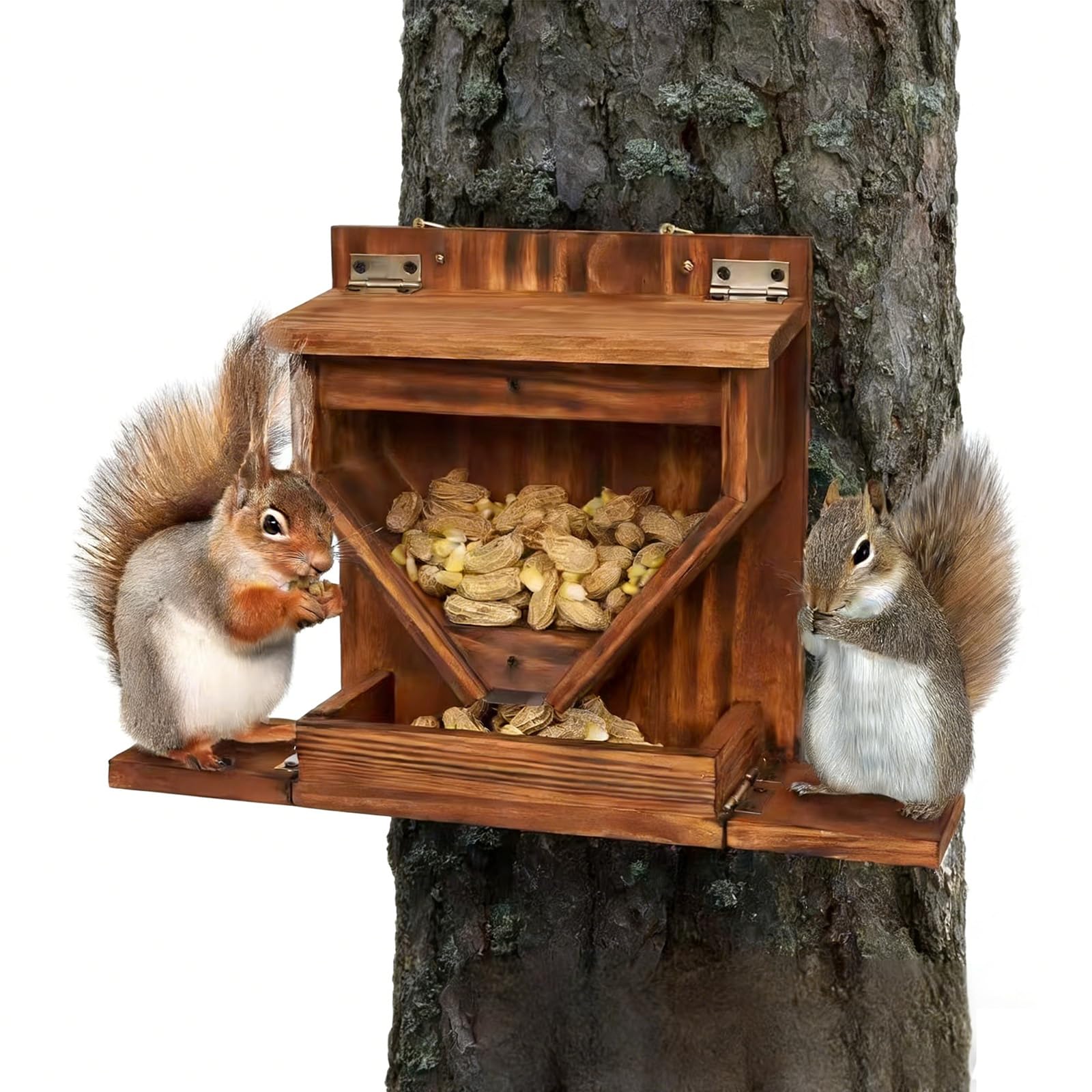 Mangiatoia per scoiattoli, stazione di alimentazione in legno, resistente alle intemperie, design in acrilico per piccoli animali, cibo da giardino all'aperto