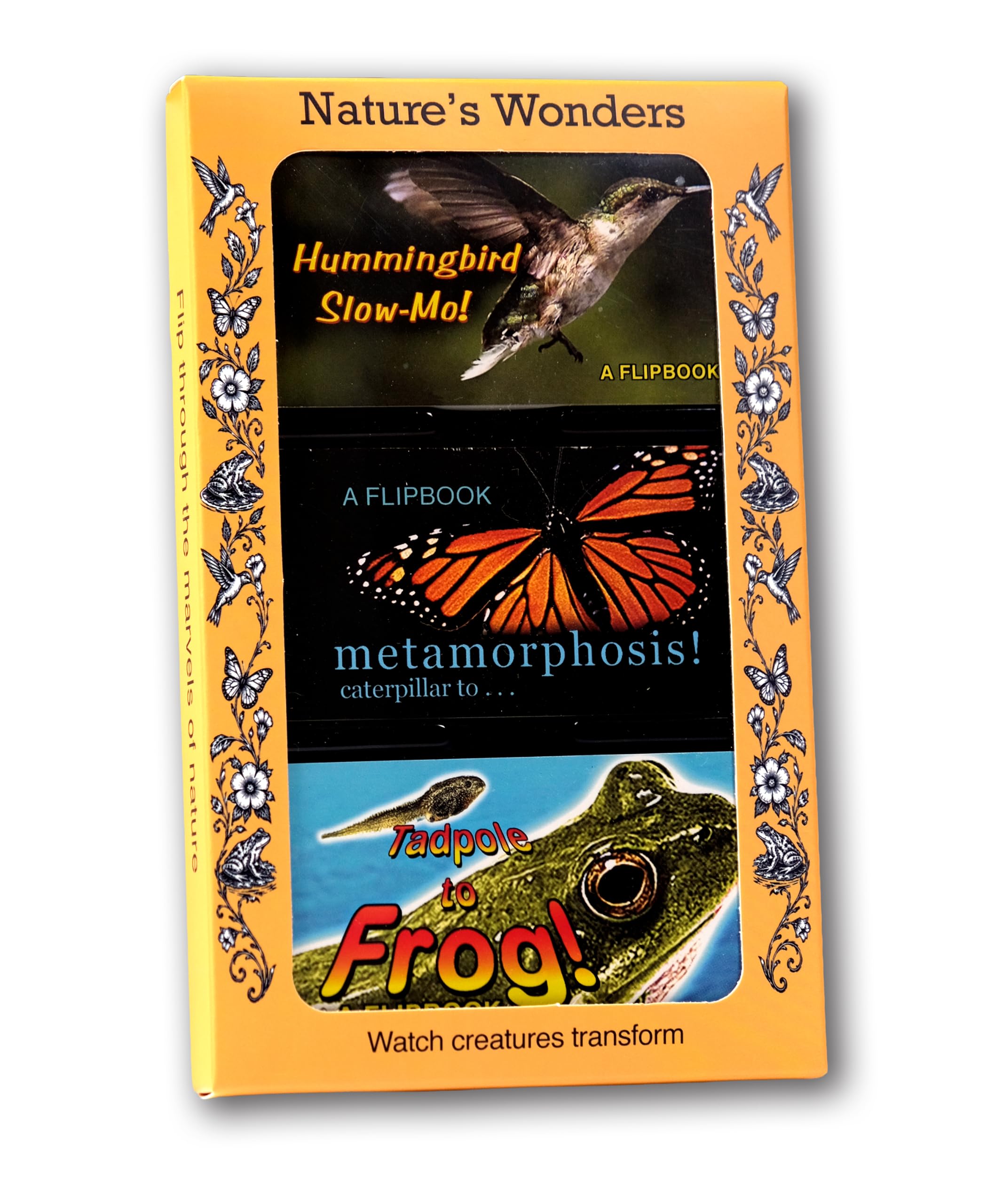 Nature Flipbook 3-Pack for Kids 6-12, Animation Flip Books for Children