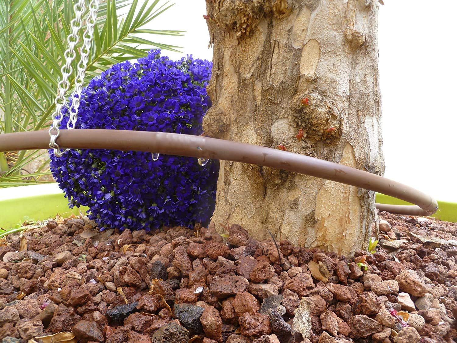 Suinga - Tuyau pour arrosage en goutte à goutte, 16 mm x 100 m, couleur marron