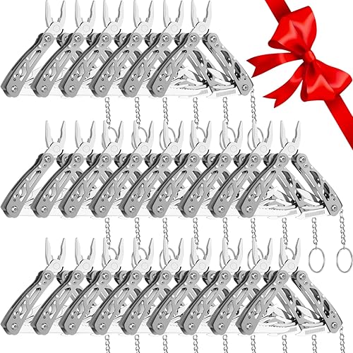 Lasnten 24 Piezas Alicates Pequeños Multiherramienta, Regalos de Navidad para Hombres Acero Inoxidable Alicates Pequeños Multiherramienta Mini