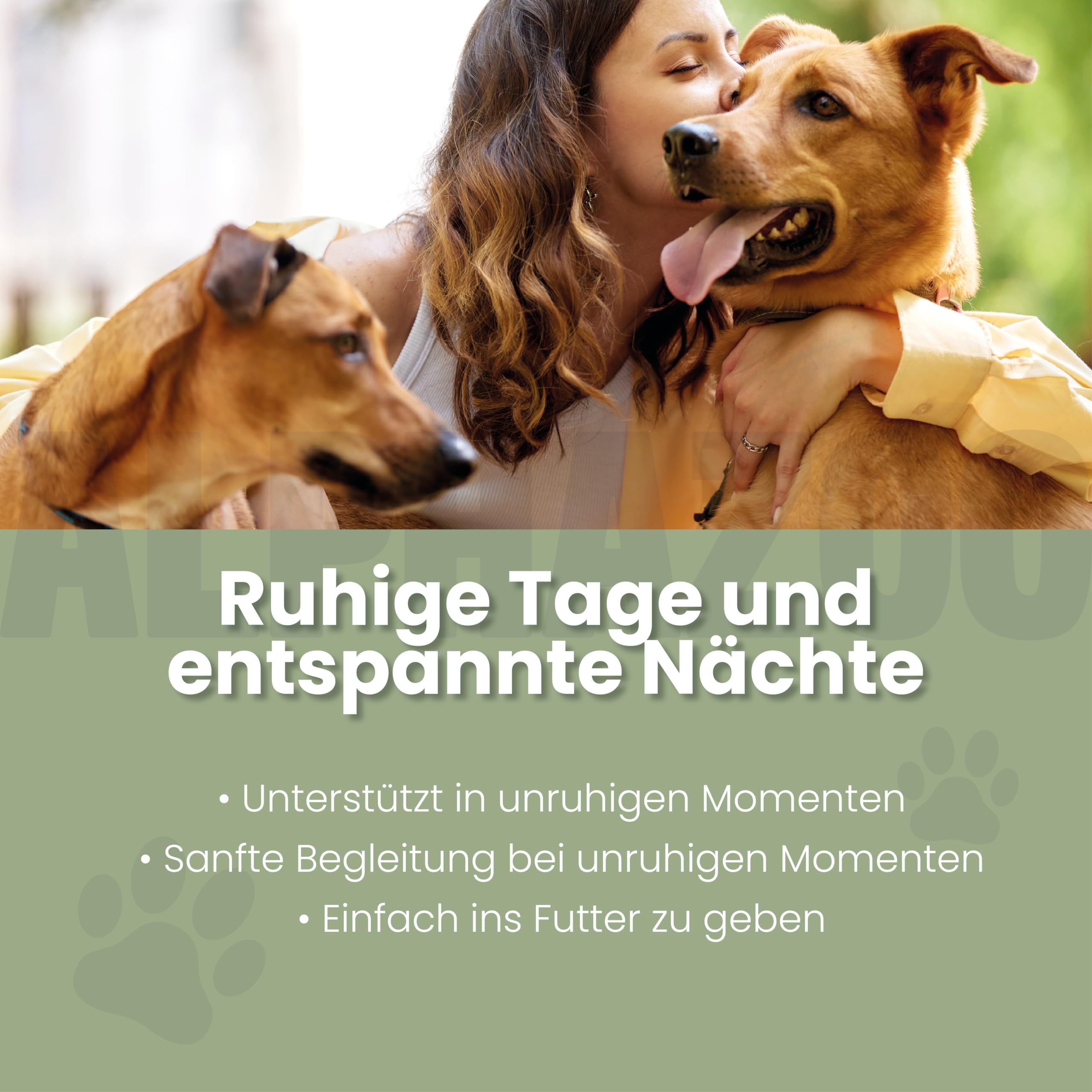 alphazoo Seelenruhe Tabletten für Hunde 180g - Ergänzungsfuttermittel mit Baldrian Melisse Hopfen - mit Hanföl & Taigawurzel - ohne künstliche Zusätze - für Gewitter Silvester Autofahrt