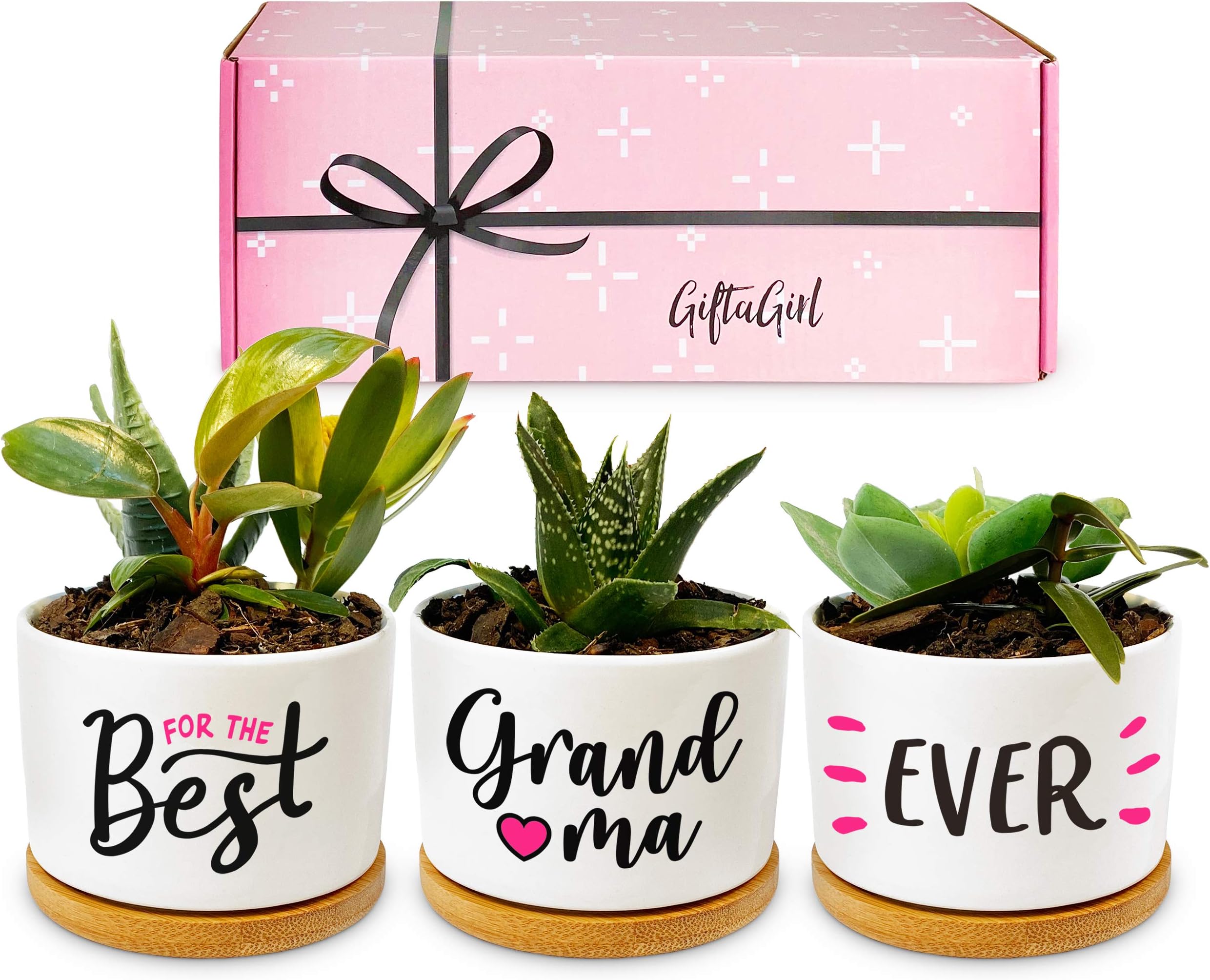GIFTAGIRL - Set of 3 Pink Ceramic Succulent Planters for Indoor Display, Perfect Grandma Birthday or Christmas Gift