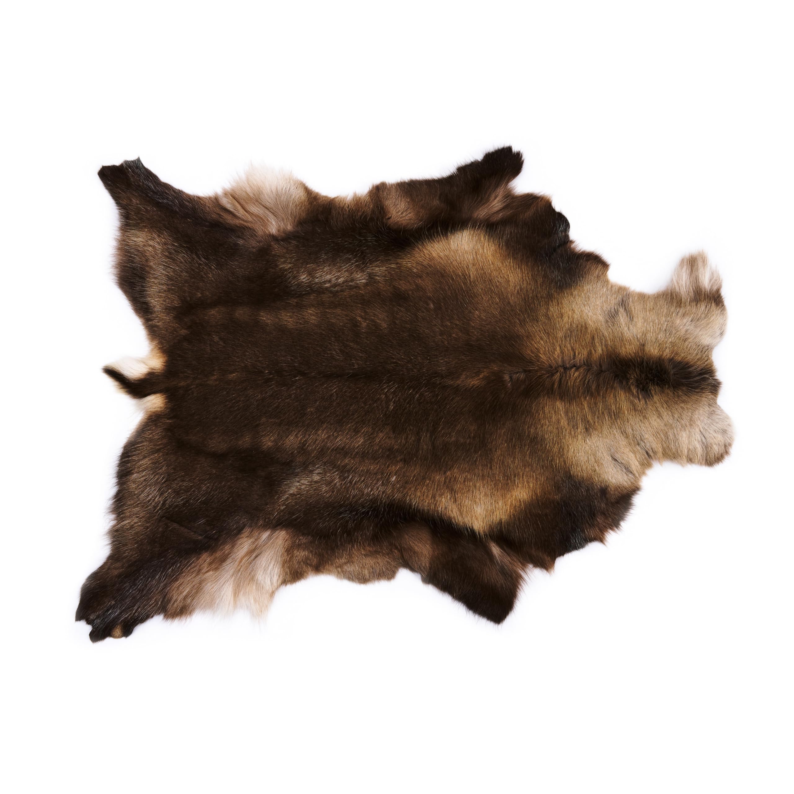 XXL 120-130 cm Peau de renne véritable Finland (gris brunâtre), inodore, fourrure de renne, doux et moelleux, fourrure pour chaises, fourrure décorative
