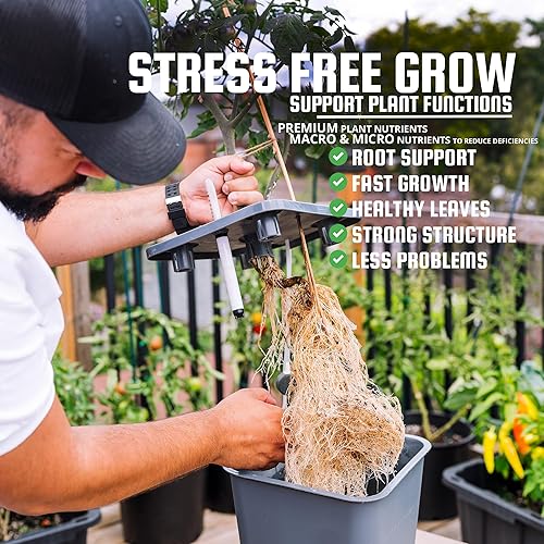 Miniatura 2 de HydraGrow A & B Base Grow Nutrients - Juego de 8 onzas - 2 partes de alimento líquido para plantas para sistemas hidropónicos y jardines de suelo -