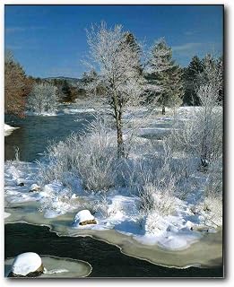 Impact Posters Gallery Scenery Yosemite Snow River