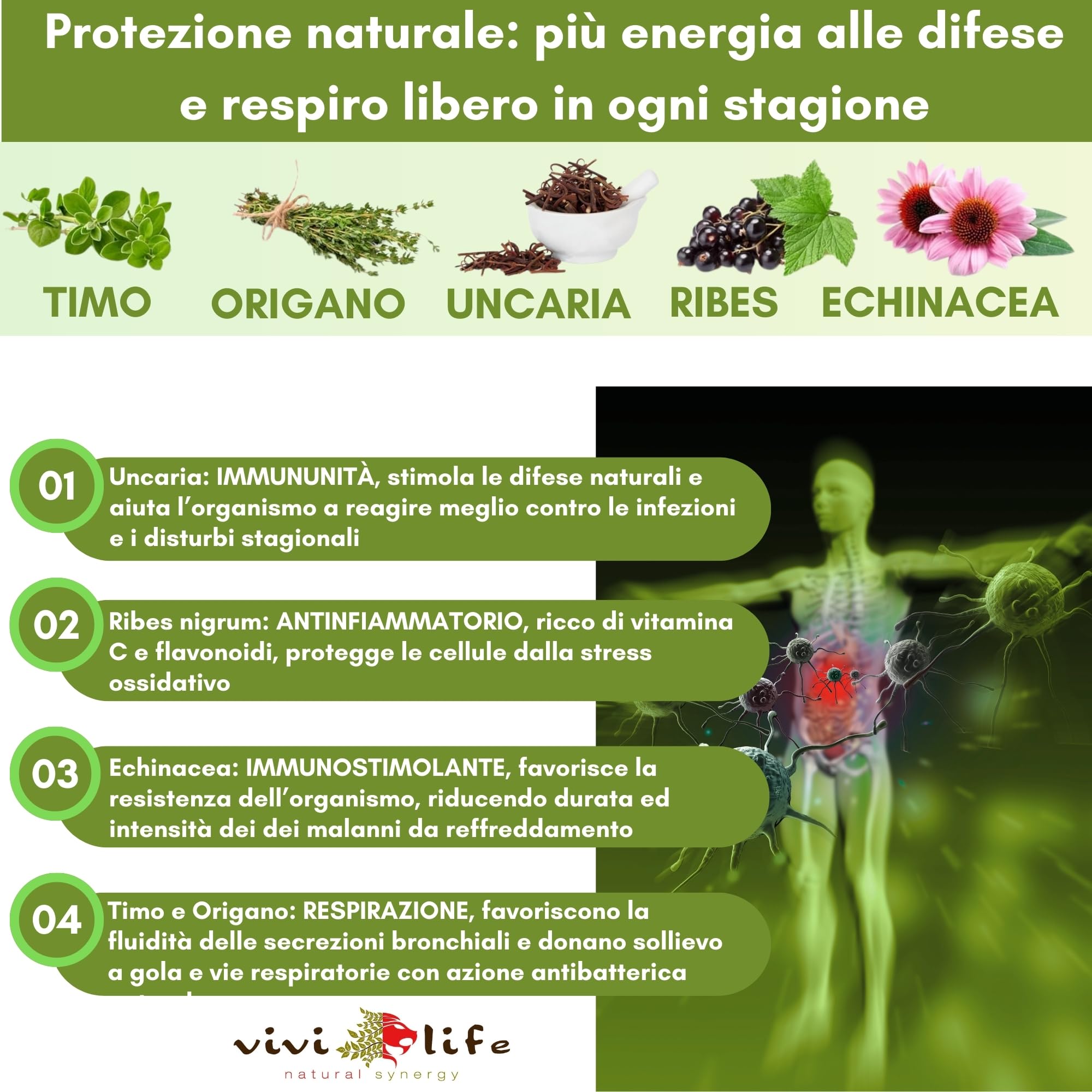 Clean Vibe Theta 50 ml, Integratore Naturale per Rinforzare le Difese Immunitarie con Uncaria, Timo, Origano, Ribes ed Echinacea, Made in Italy