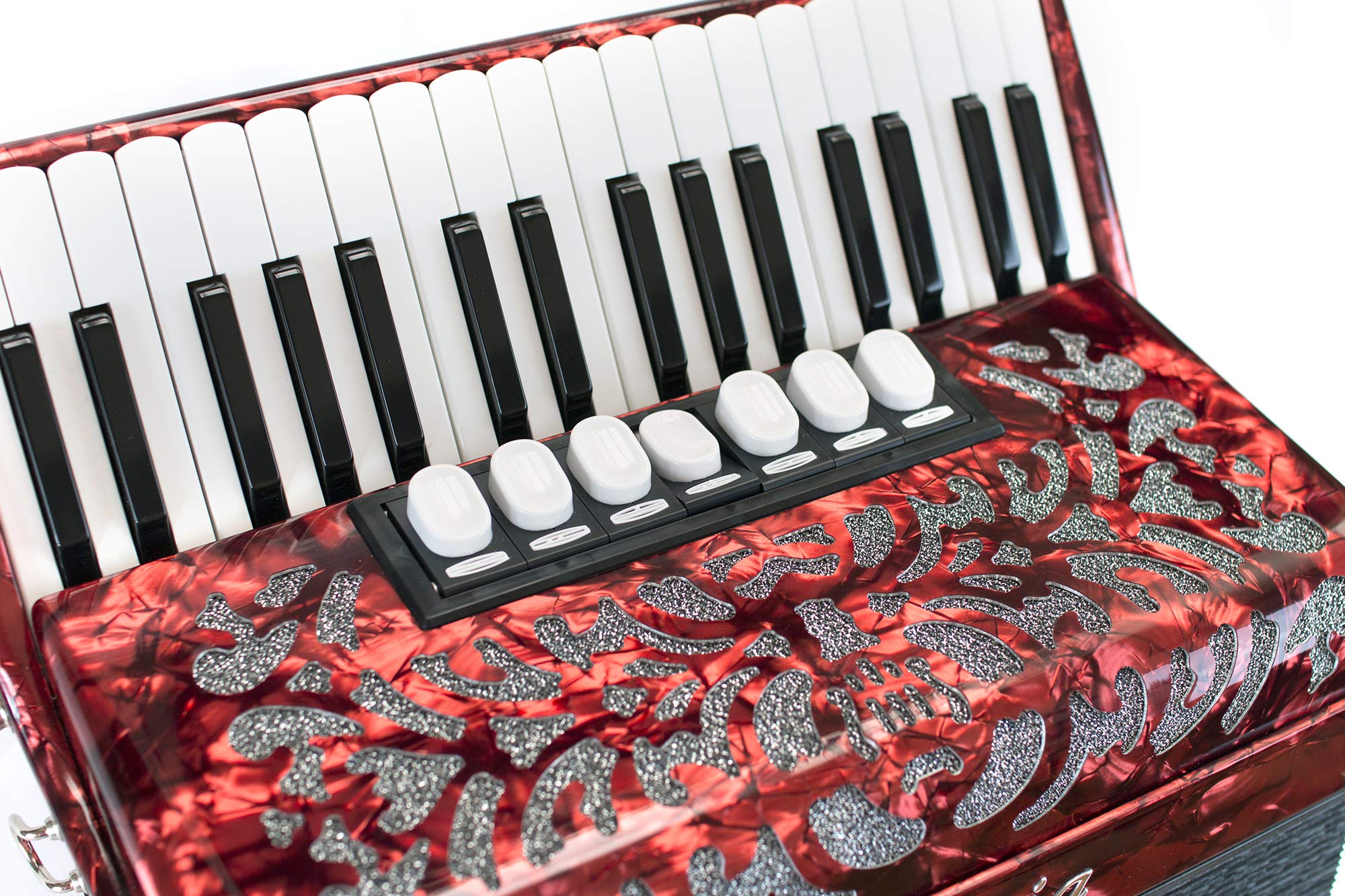 Delicia accordion arnaldo 23 : Amazon.nl: Musical Instruments & DJ