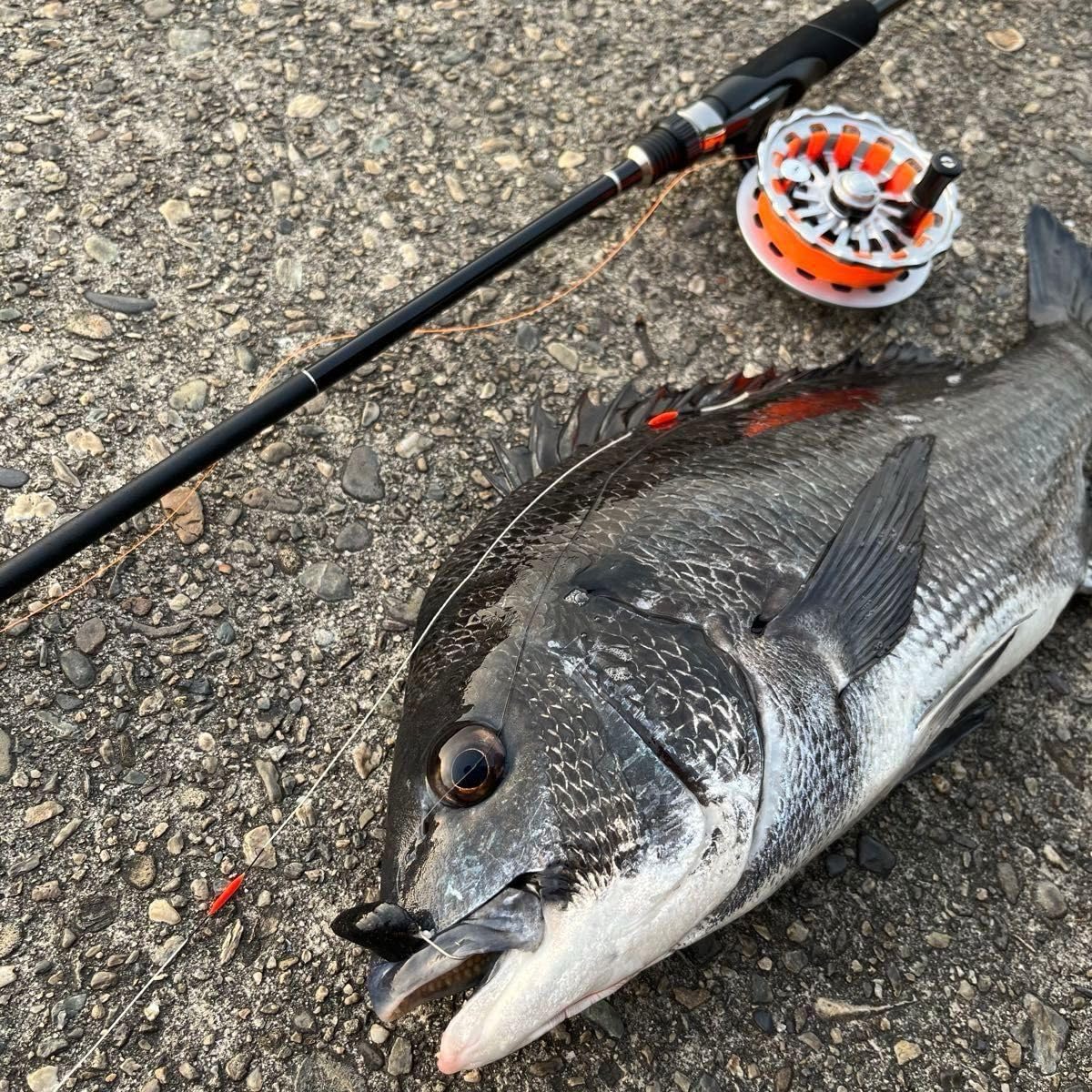 のりちゃんページ のりさん専用 のりさん様、専用 のりさん① ZX-SCONS-(