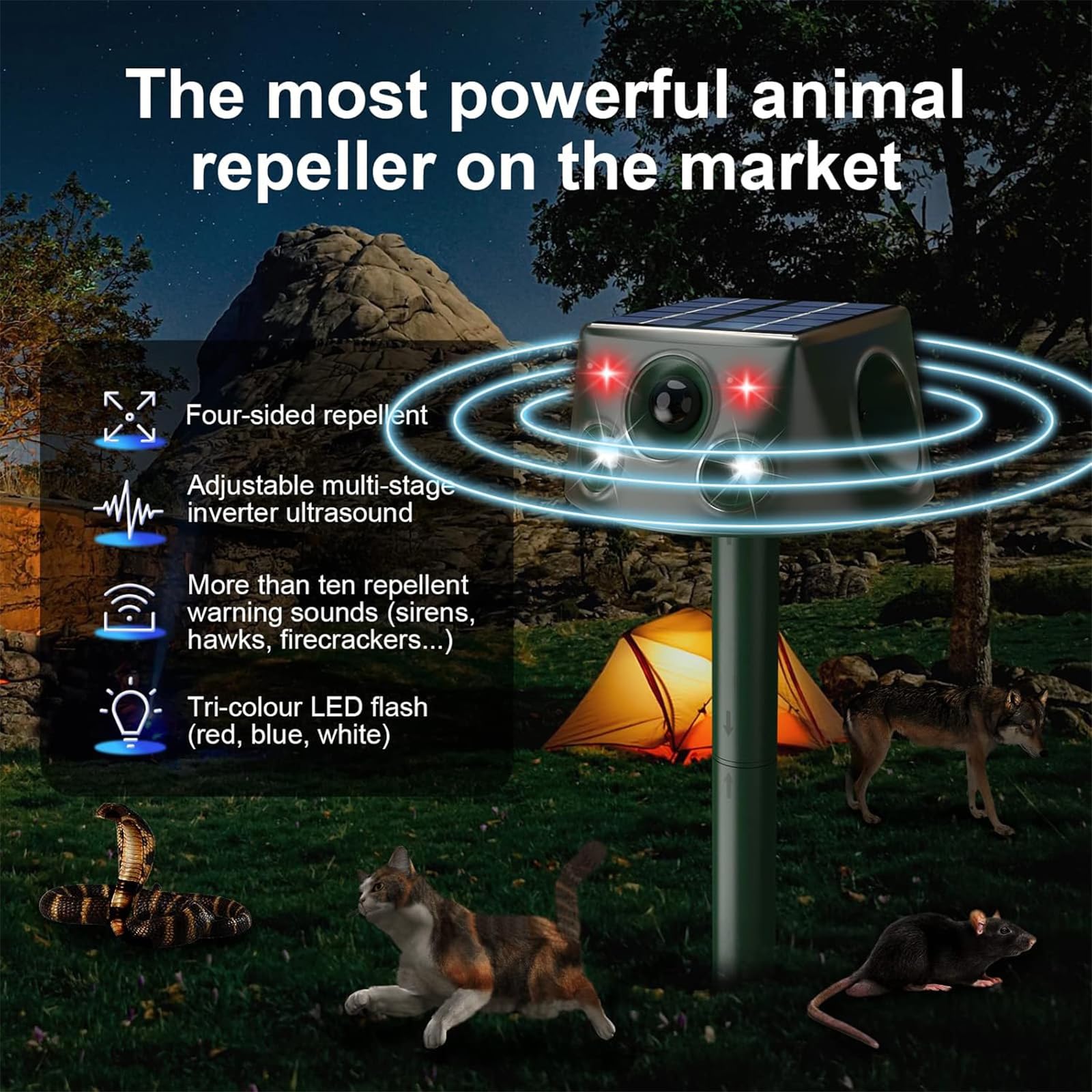 Ultrason Chat Exterieur, Repulsif Chat Ultrason, 5 Modi Einstellbar Marderschreck, Solarladung Ultrason Chat Exterieur, 360° Effektiv für Katzen, Hunde, Vögel, Mäuse