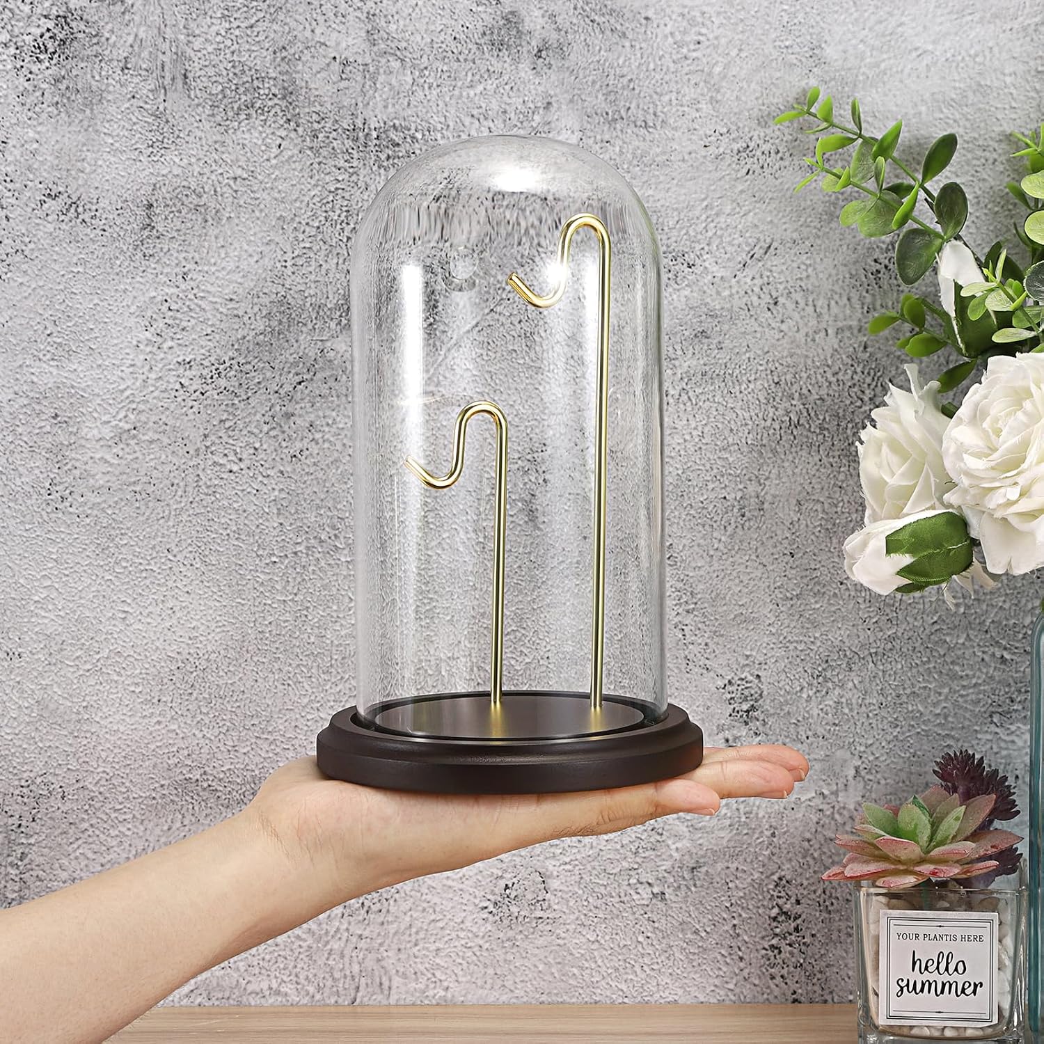 JUXYES Clear Glass Pocket Watch Display Dome Case with Base, 4x8 Inches