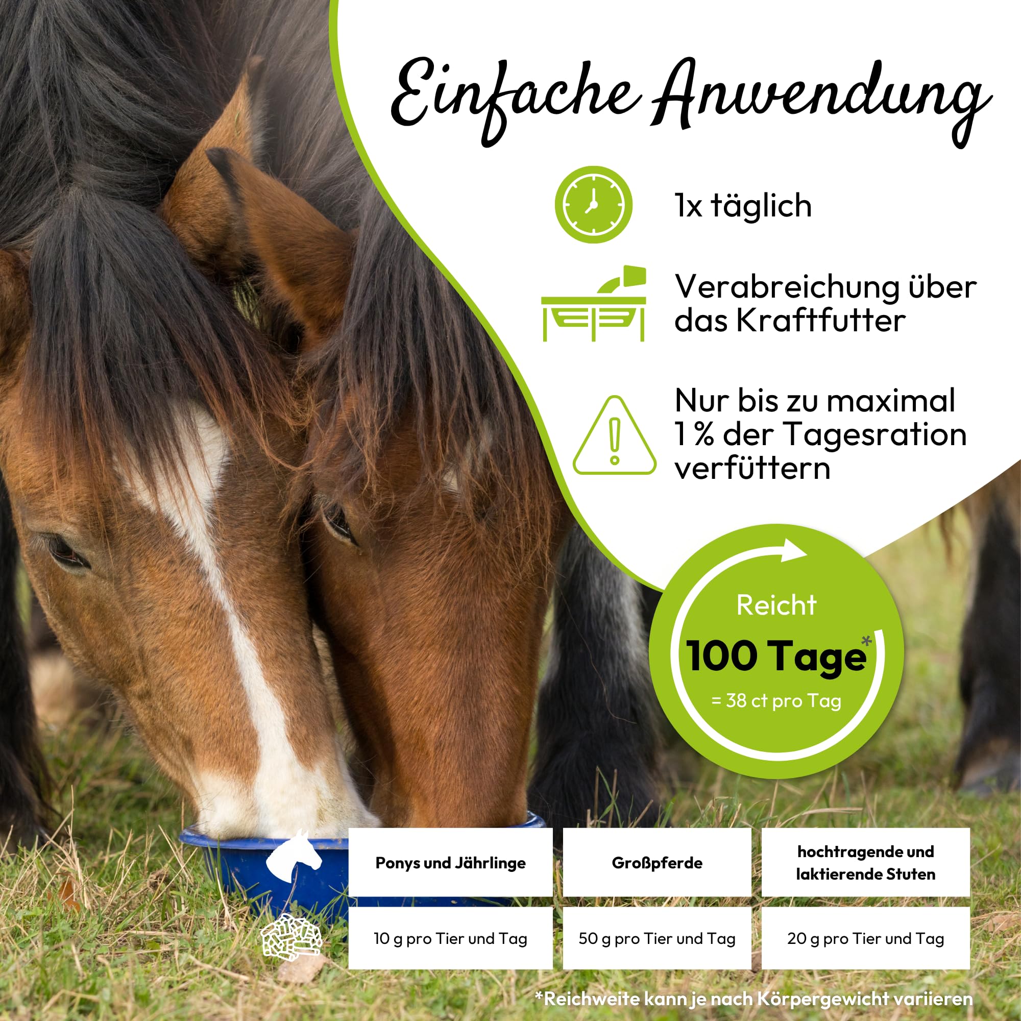 PHA Base Mineral Plus Caballo, Multi Vitaminas, oligoelementos y minerales para Las Necesidades diarias de nutrientes, pellets para Caballos, 5 kg