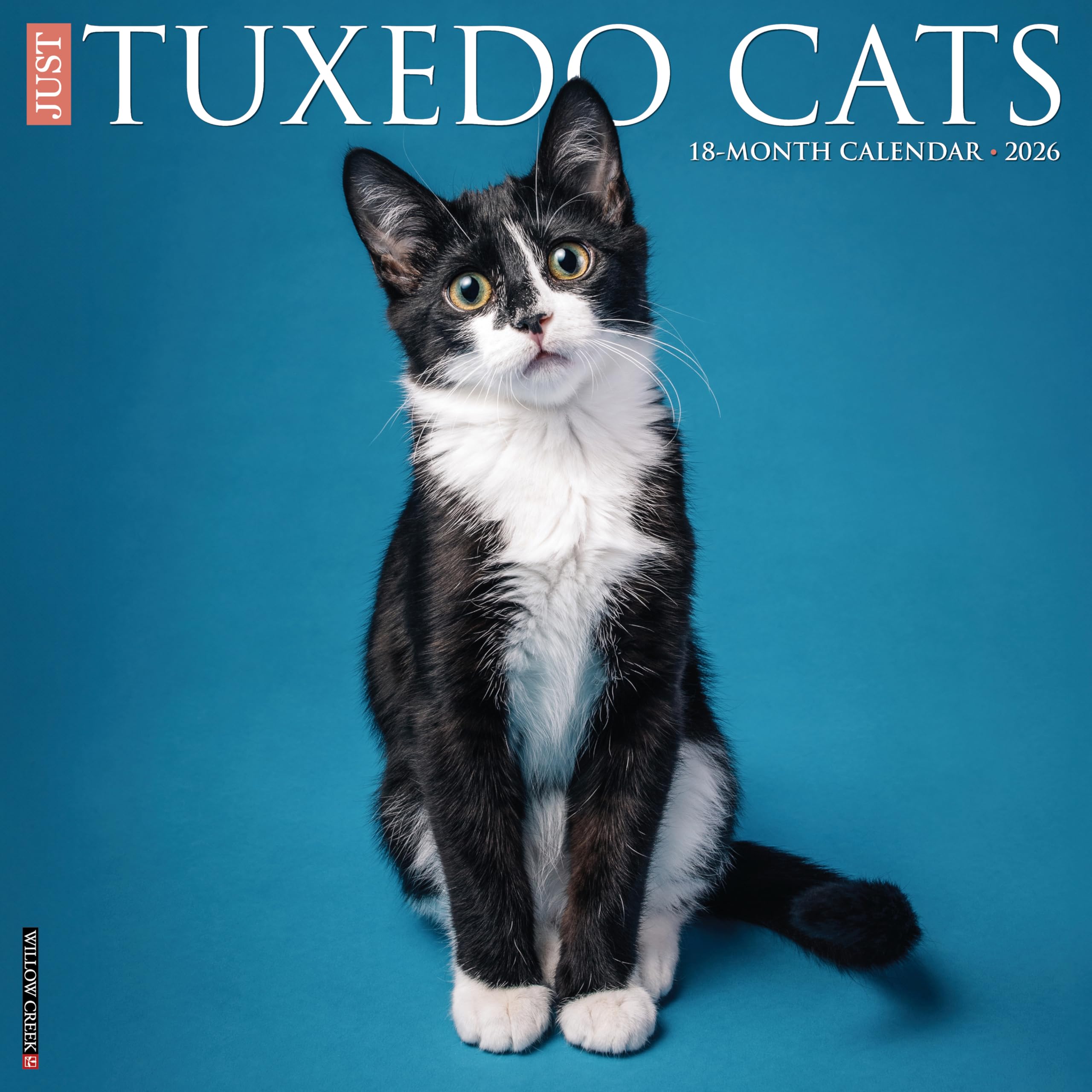 Tuxedo Cats 2026 Wall Calendar