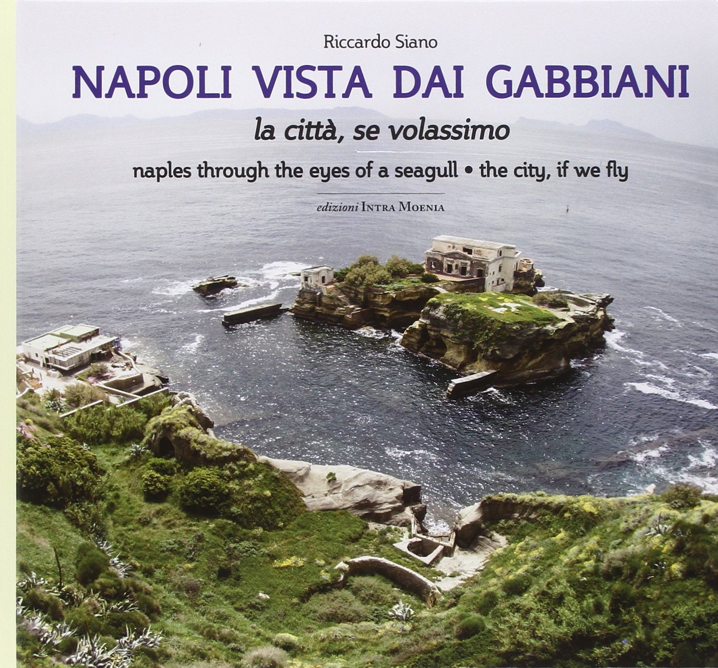 Napoli vista dai gabbiani. La città se volassimo. Ediz. bilingue