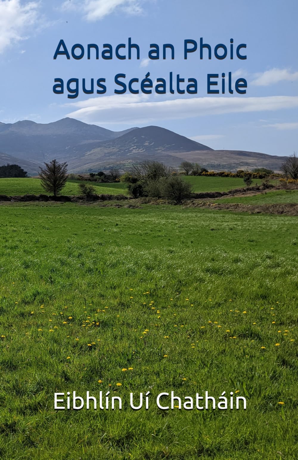 Aonach an Phoic agus Scéalta Eile