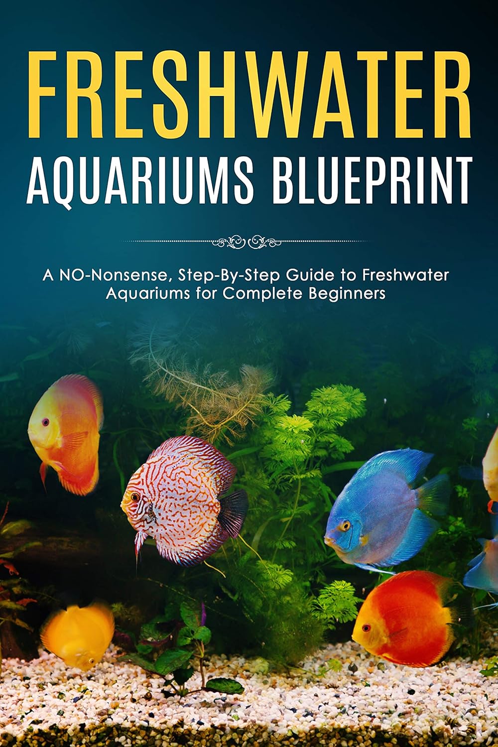 Freshwater Aquariums Blueprint A NONonsense, StepByStep Guide to