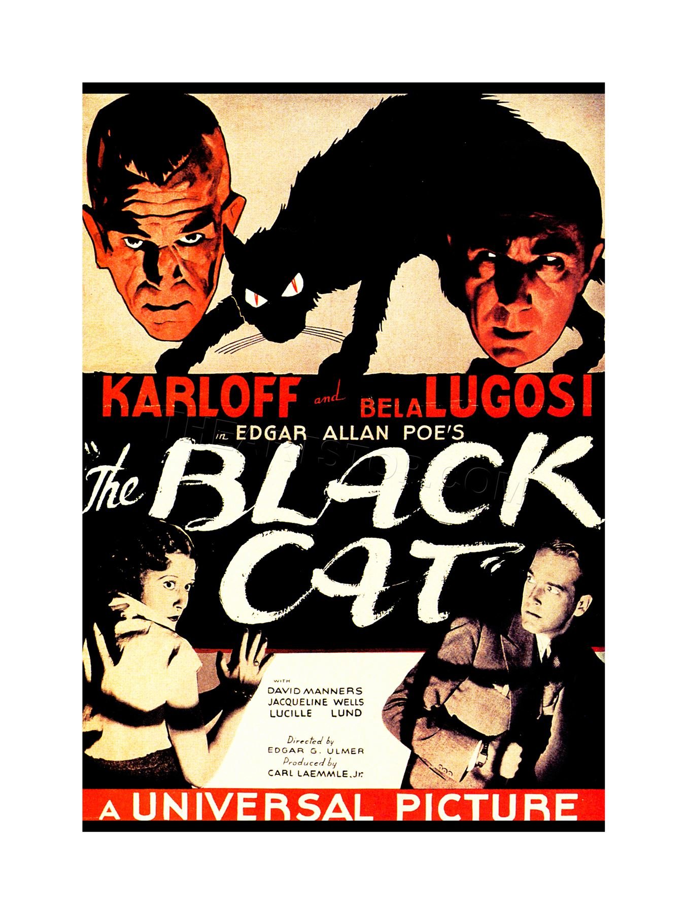 Wee Blue Coo Movie Film Black Cat Lugosi Karloff Crime Horror Drama Wall Art Print
