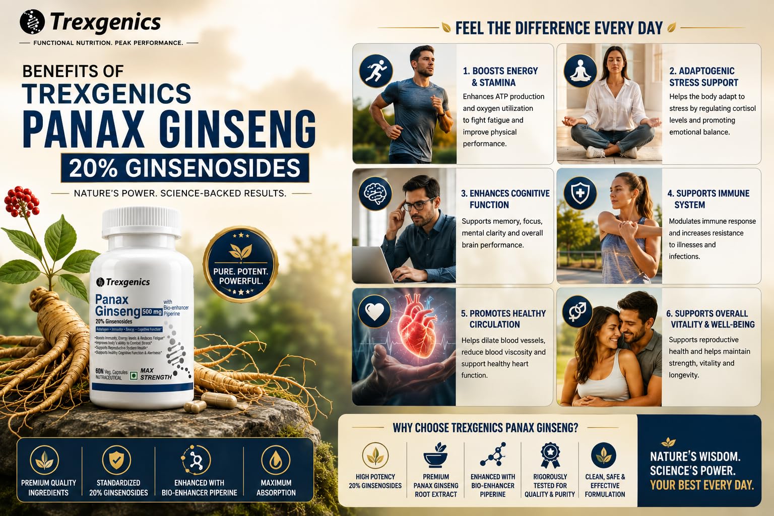 Trexgenics PANAX (Red/Korean) GINSENG 20% Ginesenosides 500mg Premium with Bio-enhancer Piperine 5mg Adaptogen, Immunity, Energy, Cognitive Function(60 Vcaps) (Pack of 3) 3