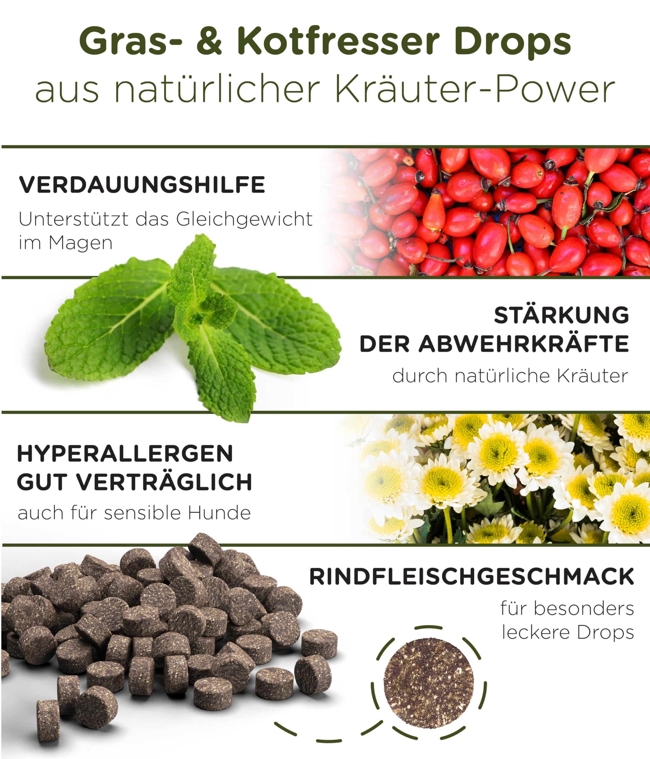 KUNTO® Gras und Kotfresser Drops Hund – Grasfresser und Anti-Kotfressen Hilfe bei Sodbrennen, Übersäuerung und Magenschutz – Natürliche Kräuter, Rindfleischgeschmack – Deutsche Herstellung (350g)