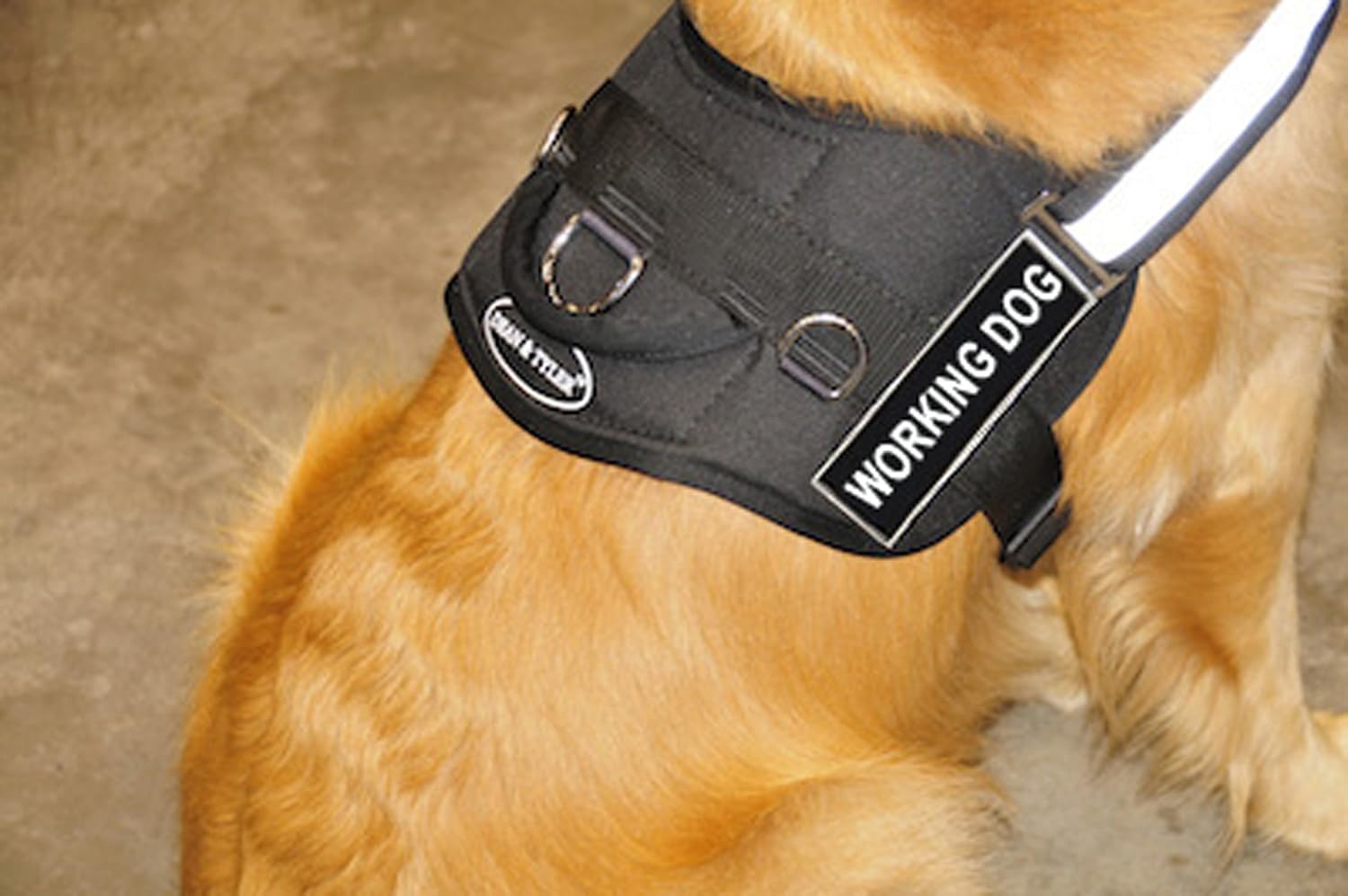 DT Works Working Dog Harness, Large