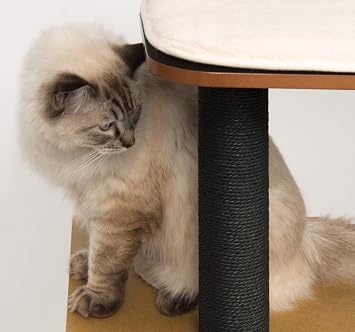 Vesper Cat Tree, High Base, Siyah, 52046