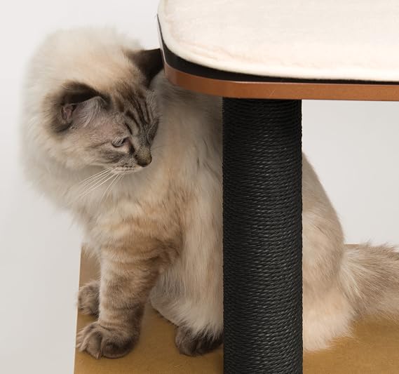 Vesper Cat Tree, High Base, Siyah, 52046