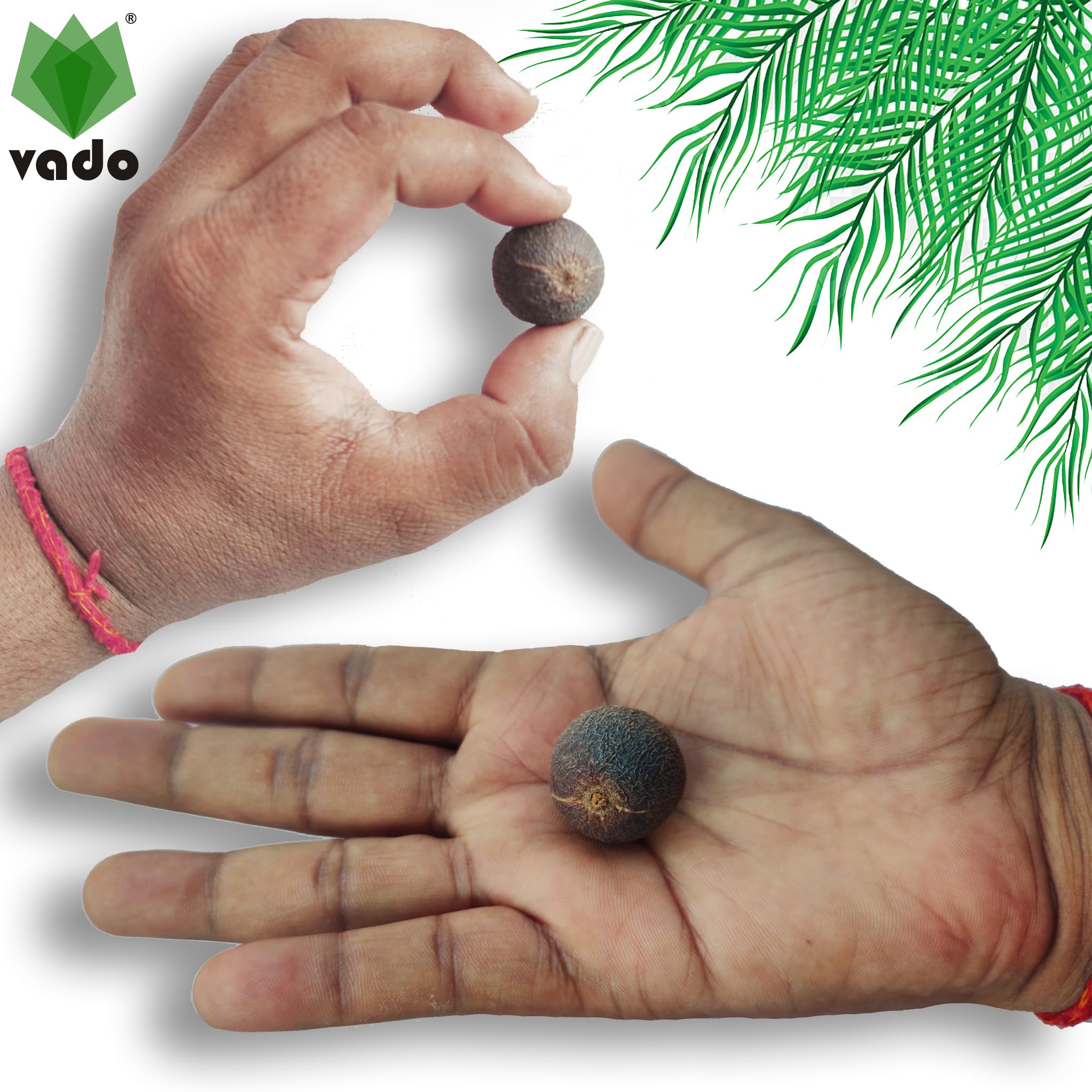 Vado Nepali Rudraksha Fruit (Pack of 9 Beads) रुद्राक्ष फल with Natural Untreated Raw Shell for Mala & Bracelet (9) 2
