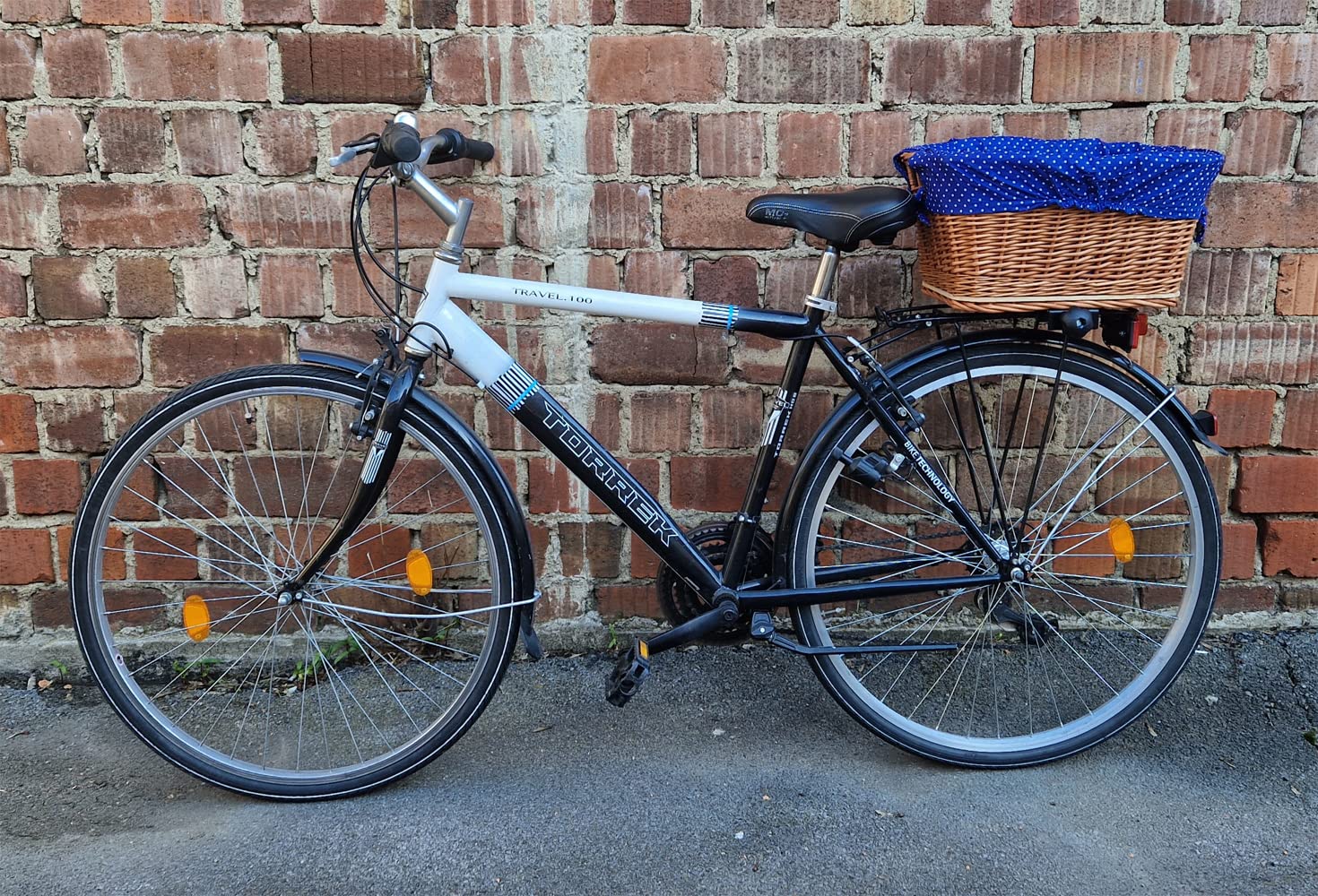 Tigana - Einkaufskorb Transportkorb Fahrradkorb Weide für Gepäckträger eckig 44x34 cm Natur + Stoffeinlage (44-N-B2)