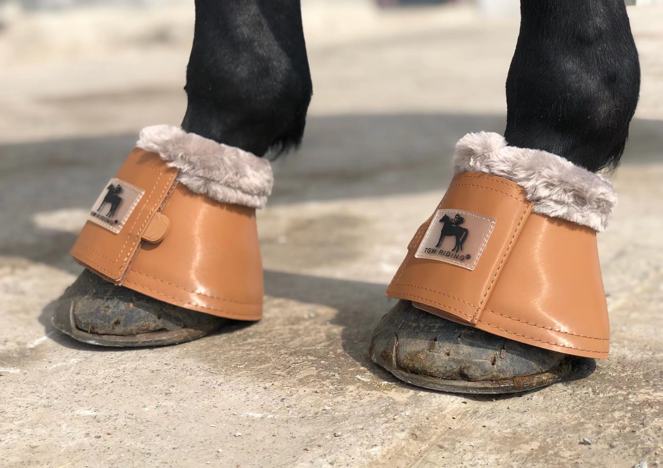 TGW RIDING Horse Bell Boots Dressage Horse Boots XL L M S