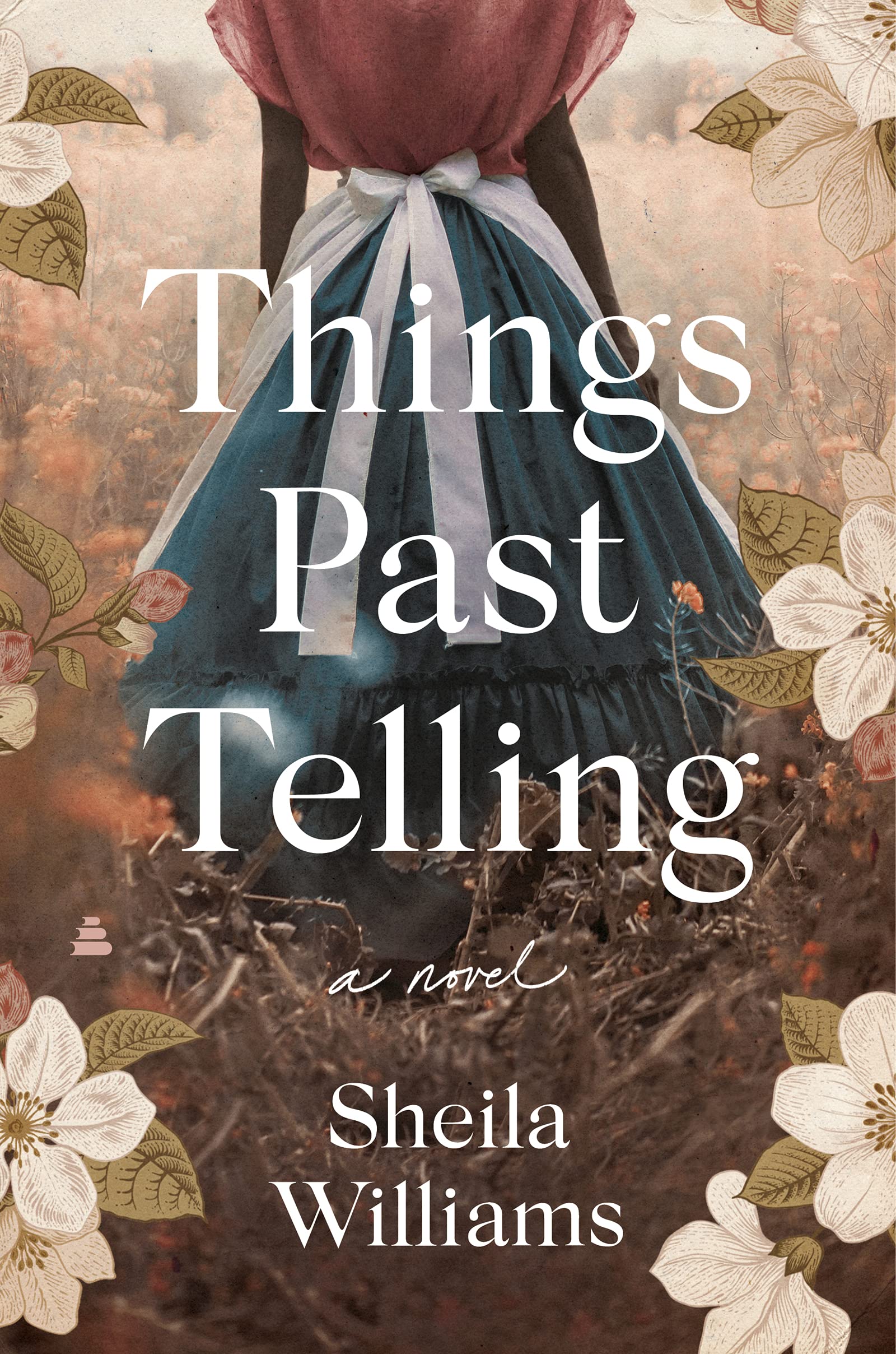 Buy Things Past Telling: A Novel โ BookShops.in