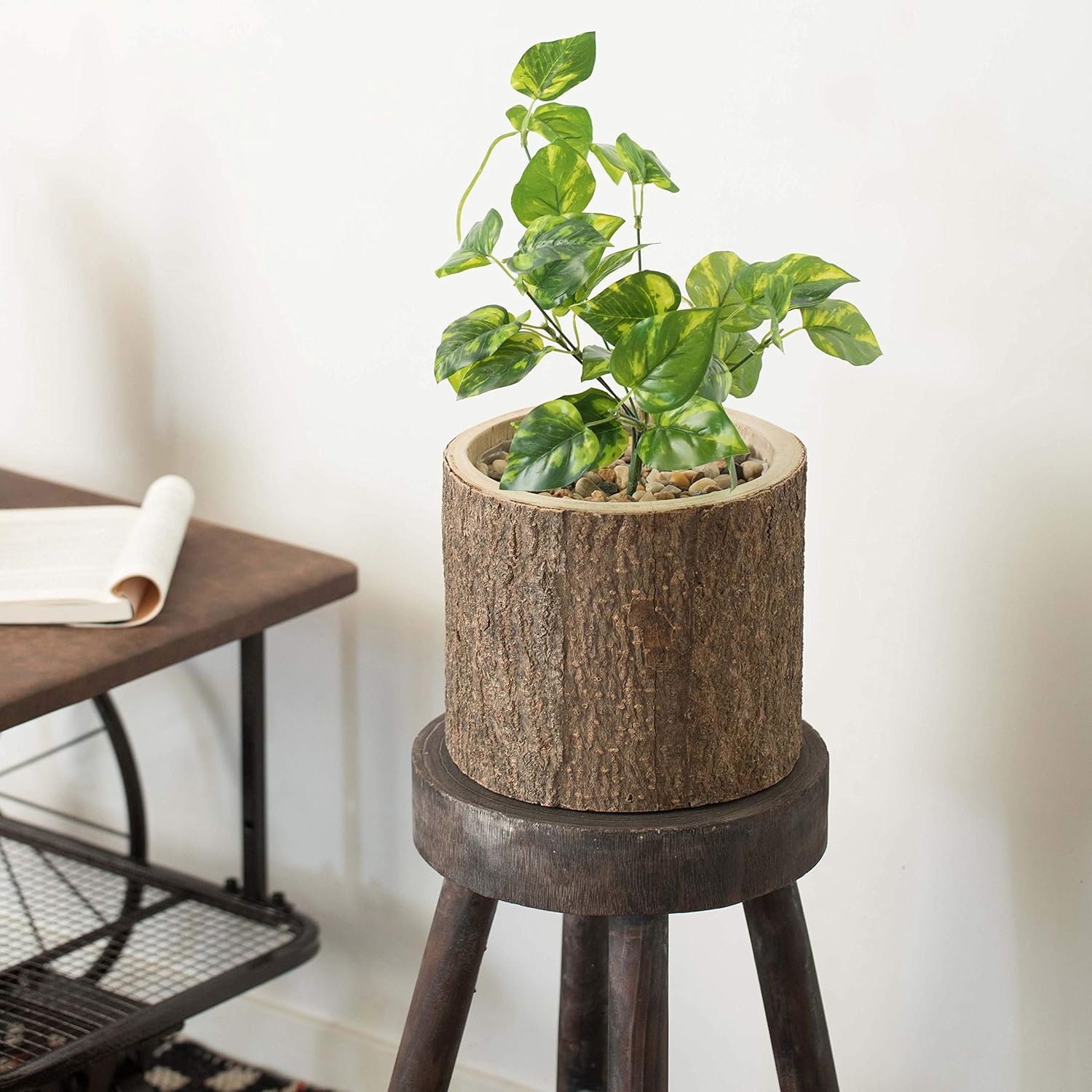 Vintiquewise Wooden Stump Tree Branch with Bark Succulent Planter Pot Flower Shelf