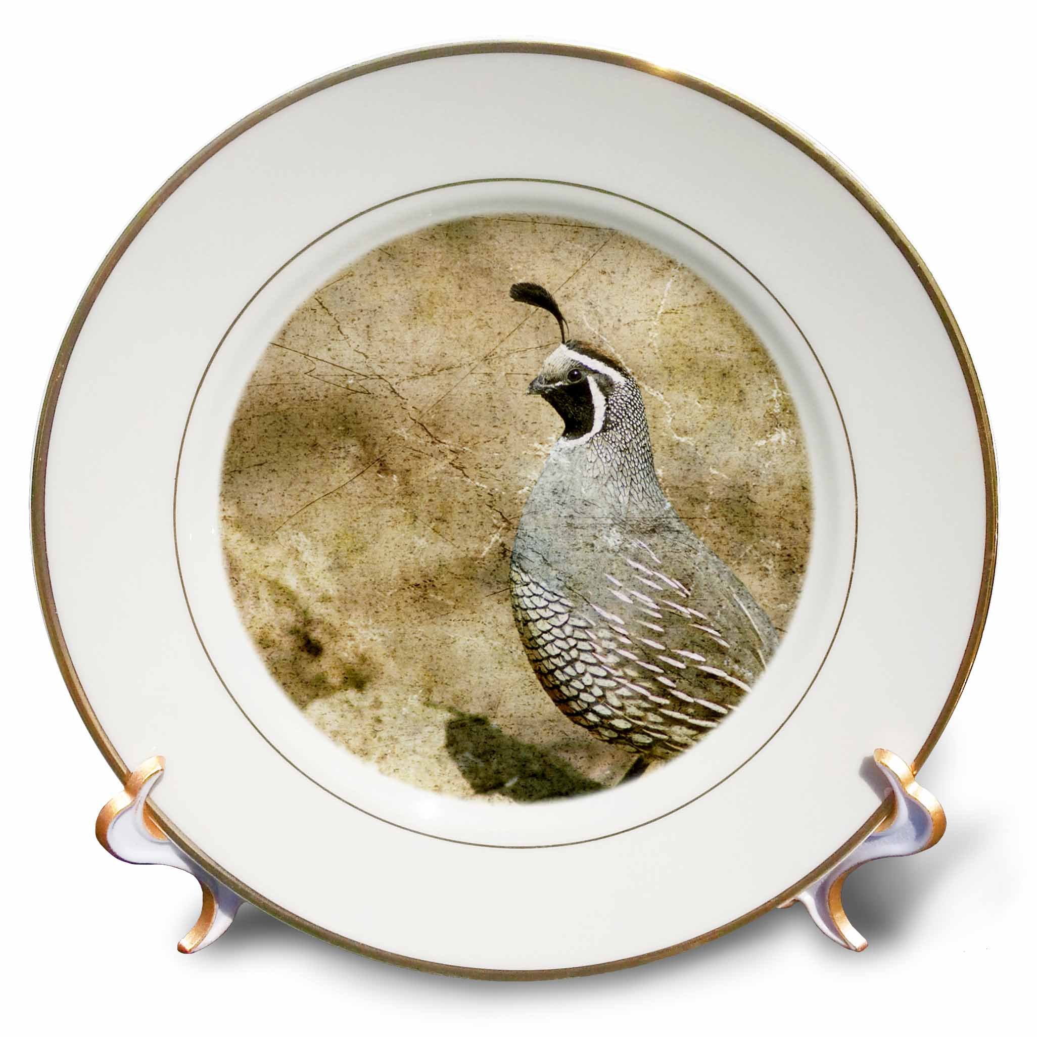 3dRose cp_12394_1 California Quail with Textures Porcelain Plate, 8