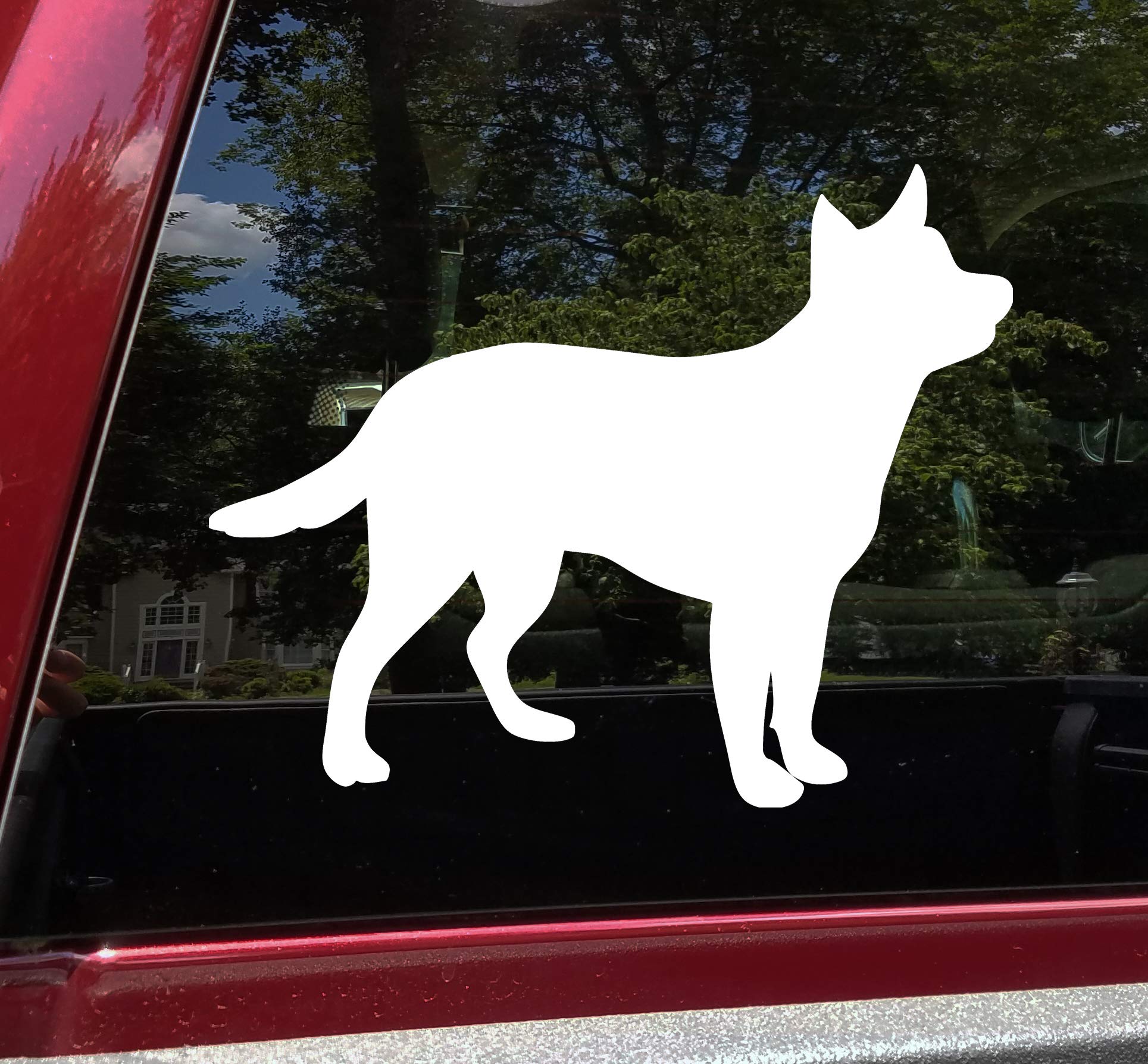 blue heeler trading post