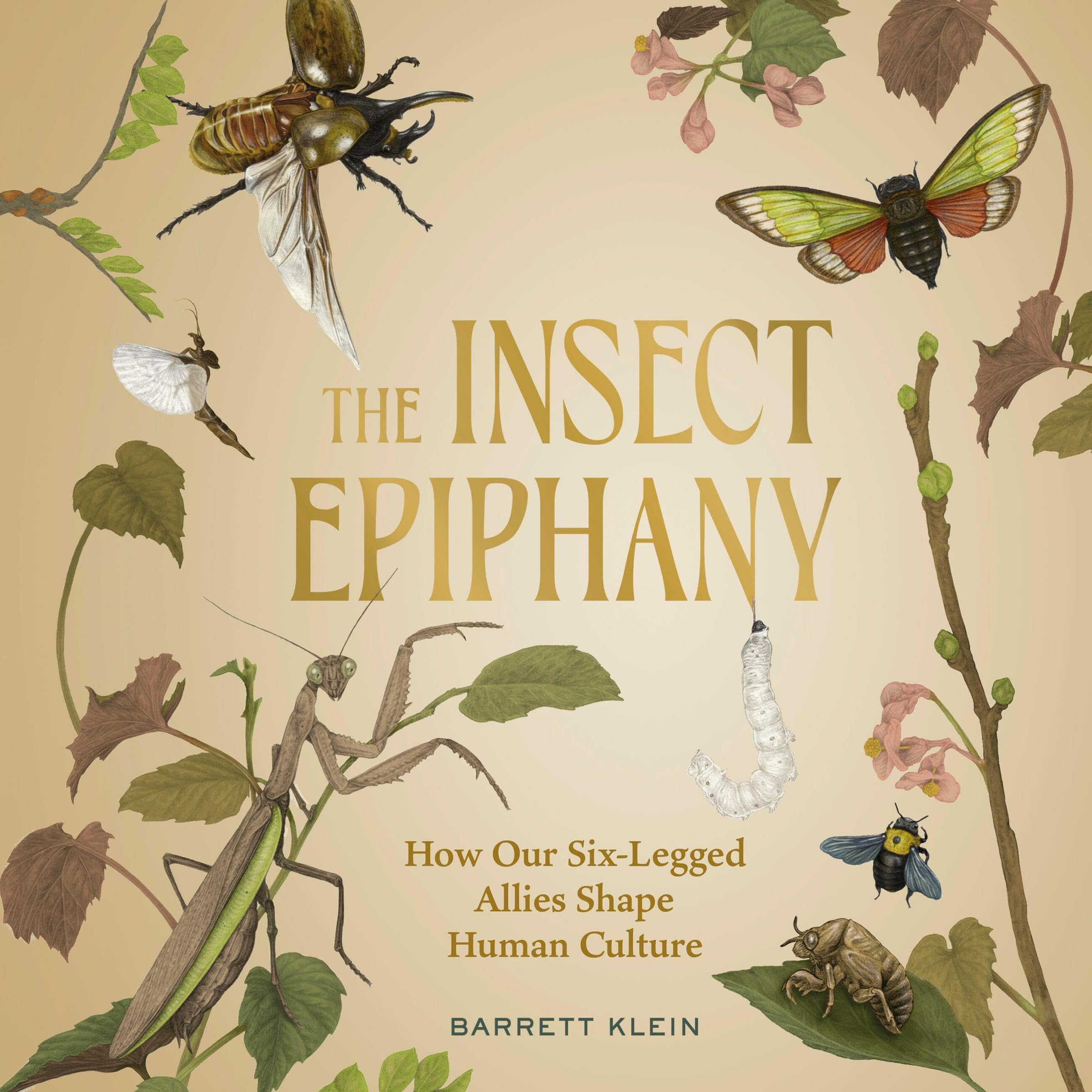 Cover art for The Insect Epiphany